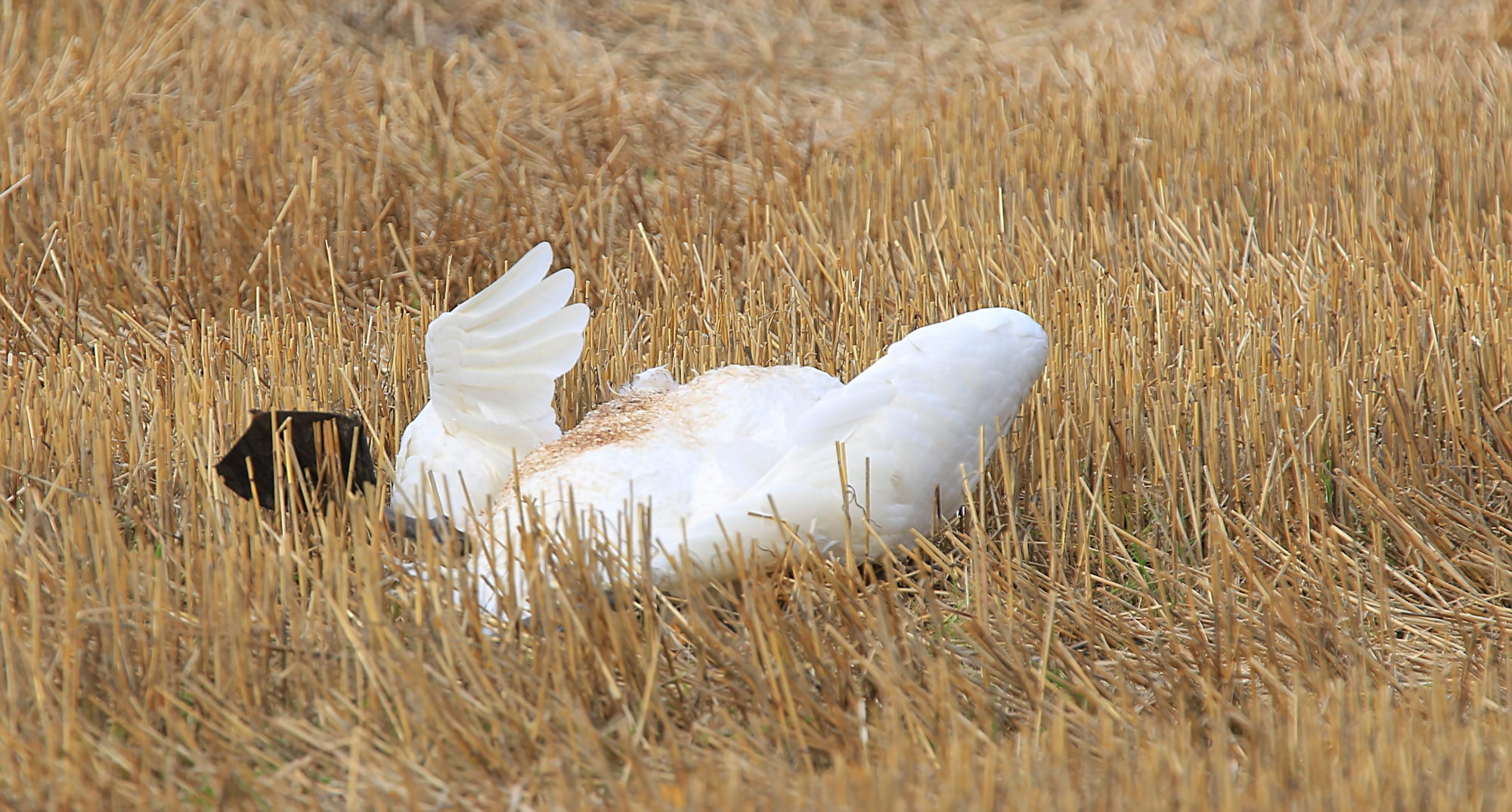 Valokuvaaja: reijo lehtonen