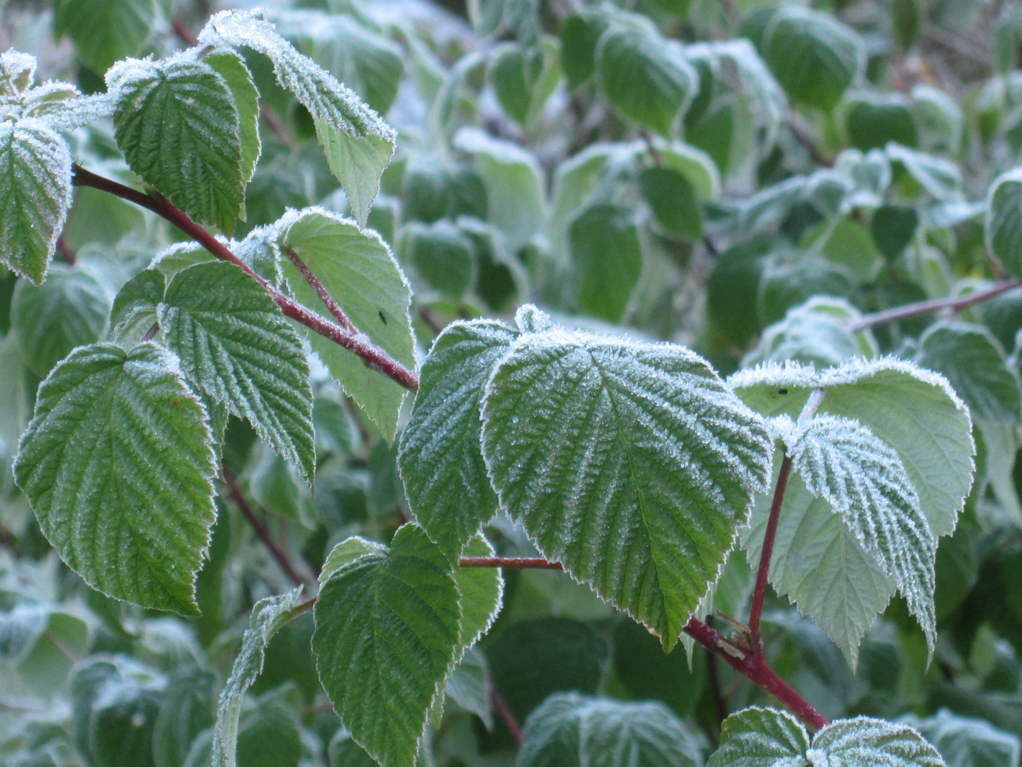 Valokuvaaja: Marita Portin