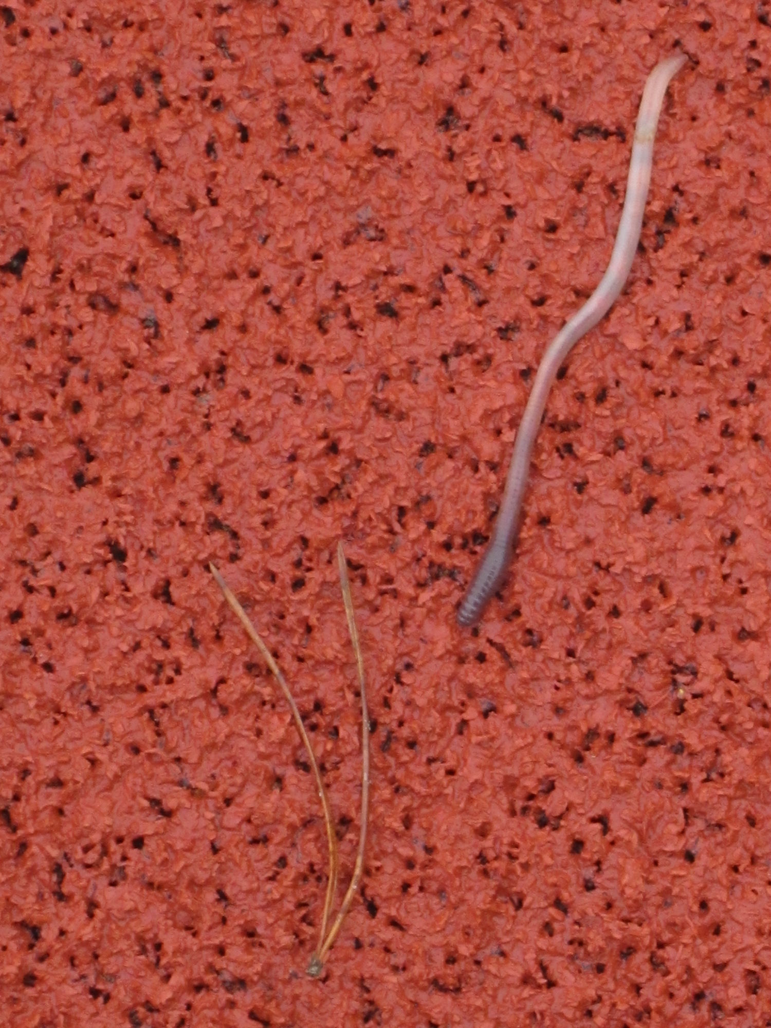 Valokuvaaja: Marita Portin