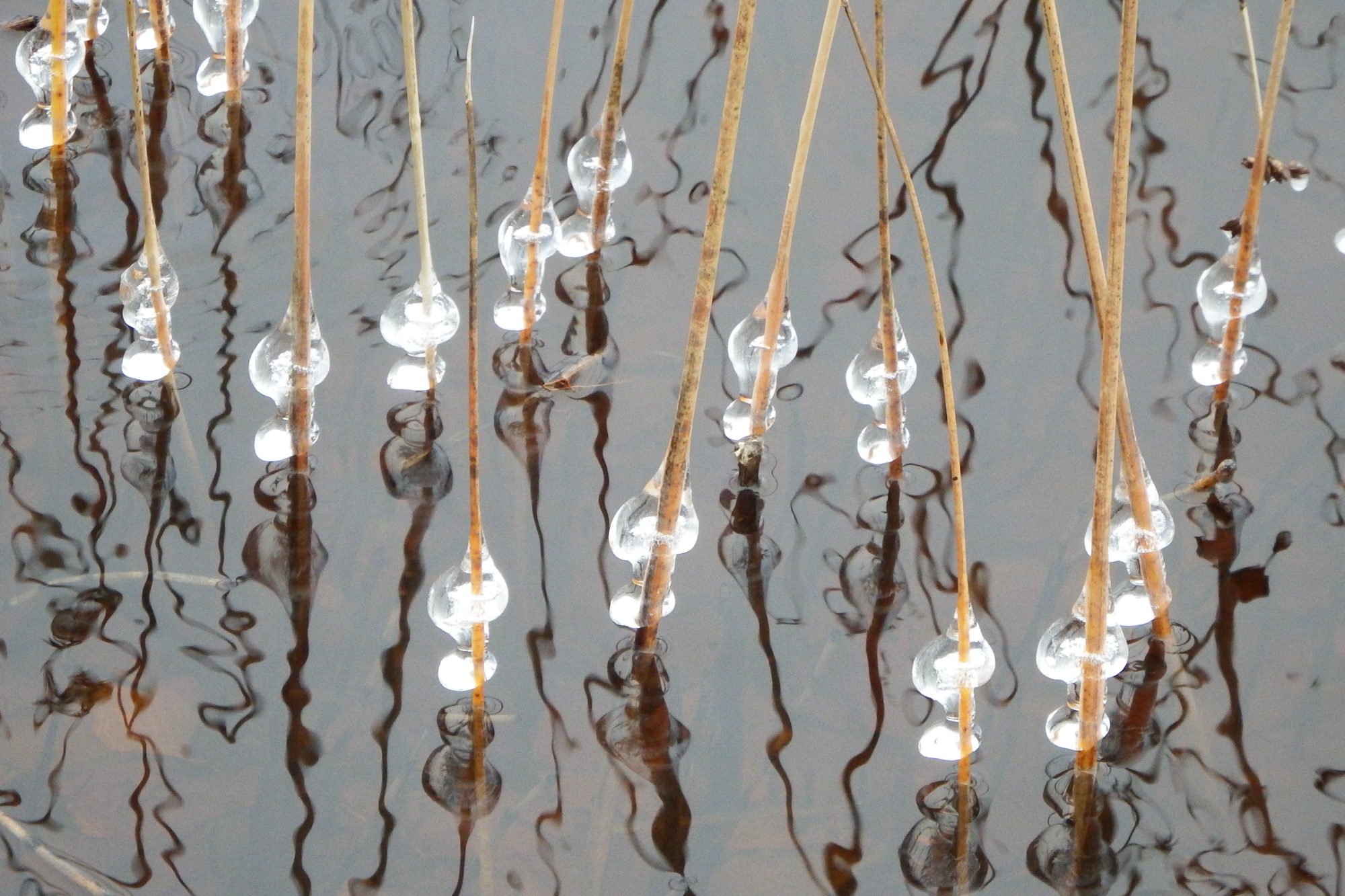 Valokuvaaja: Kaarlo Asikainen