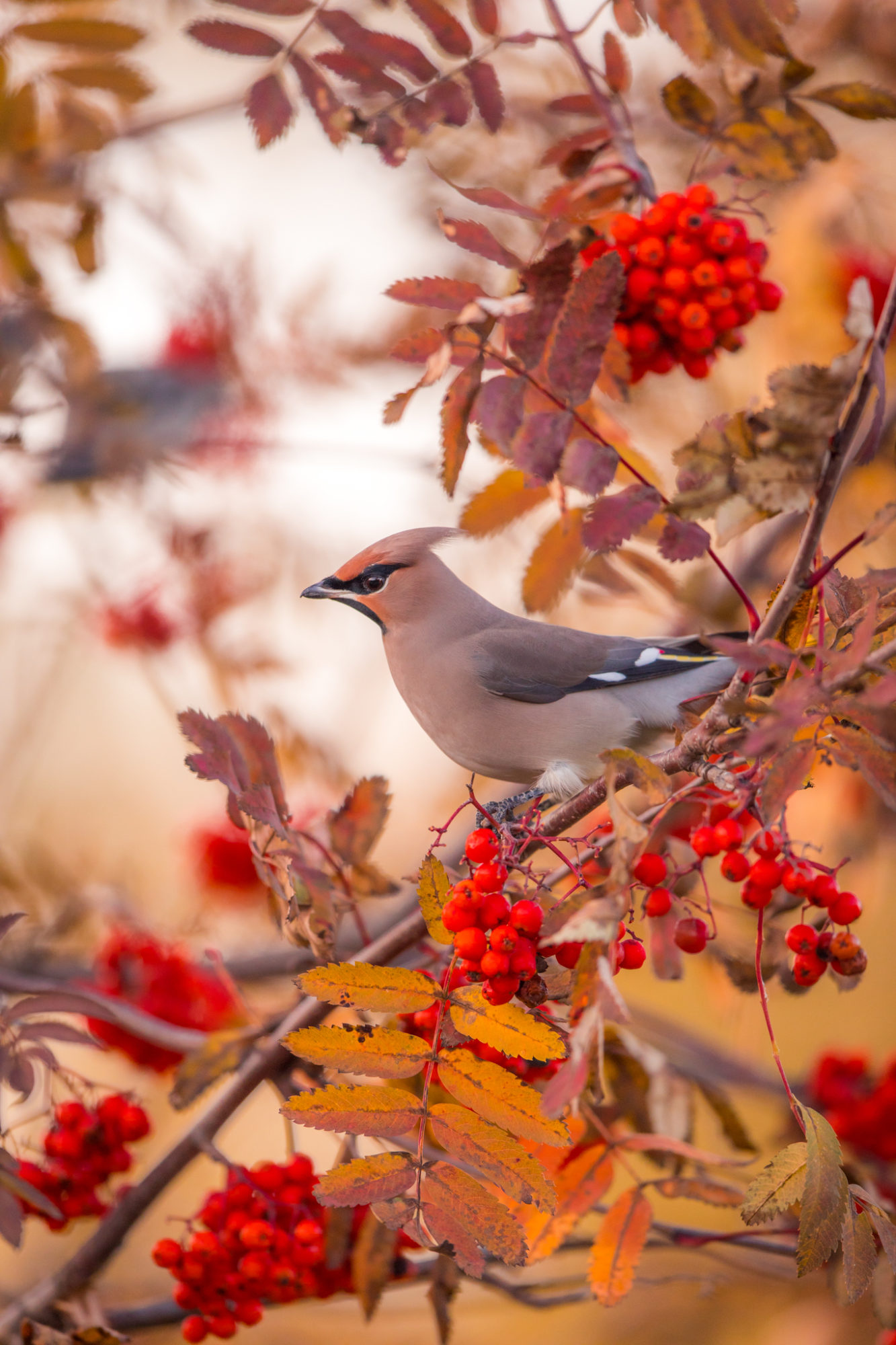 Valokuvaaja: Jukka Risikko