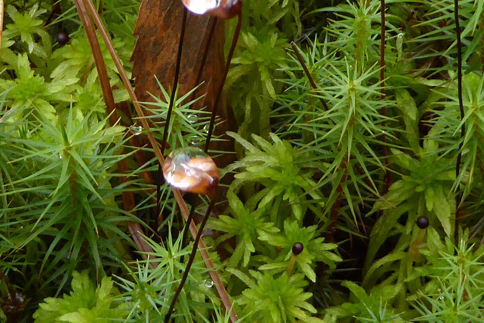 Valokuvaaja: Martti Valtonen