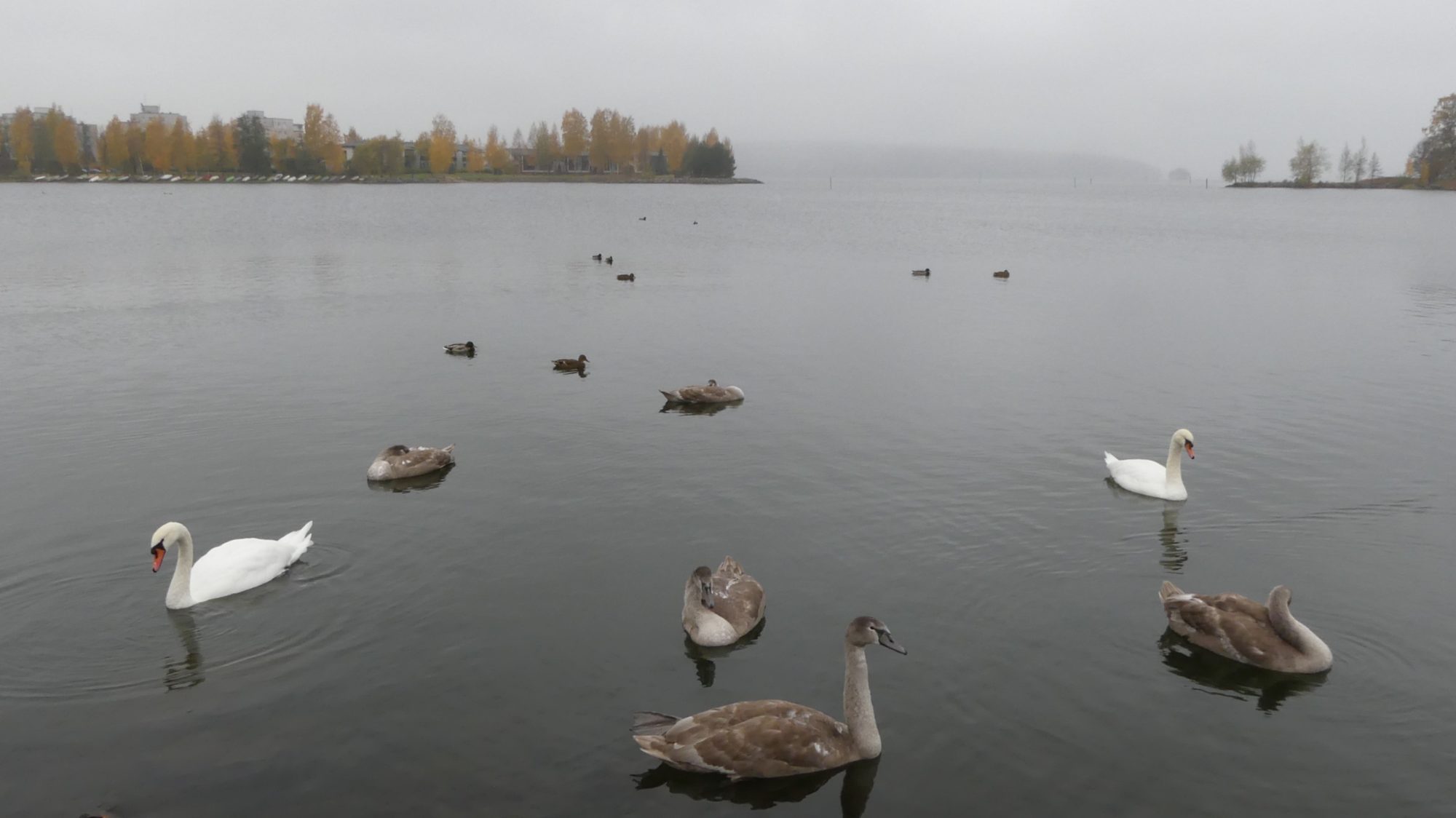 Valokuvaaja: Martti Valtonen
