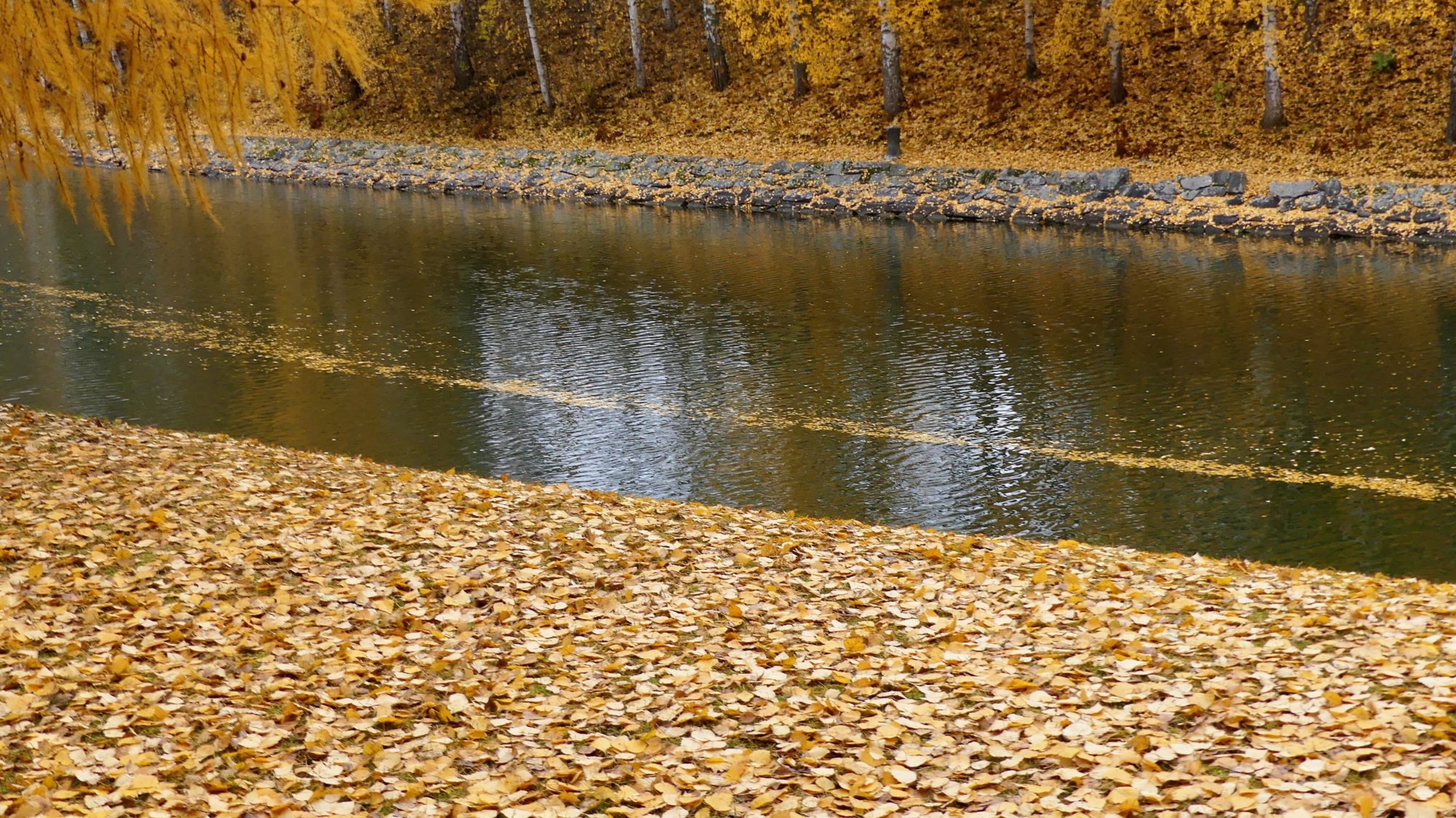 Valokuvaaja: Martti Valtonen