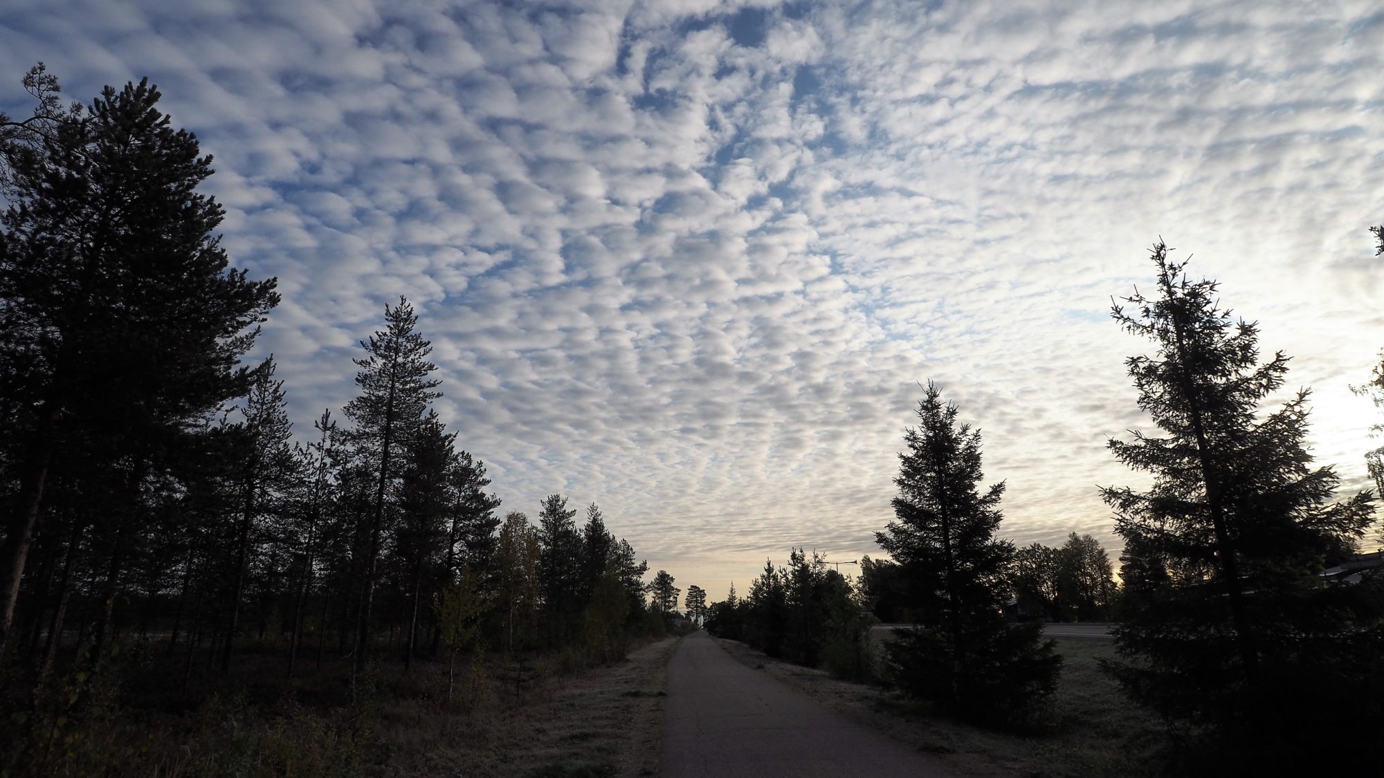 Valokuvaaja: Arja Valtonen