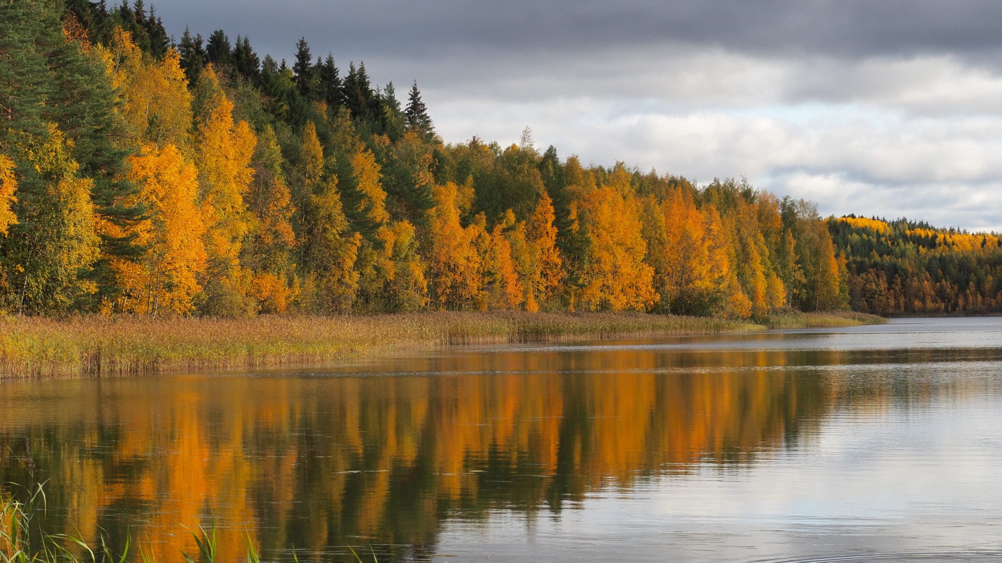 Valokuvaaja: Arja Valtonen
