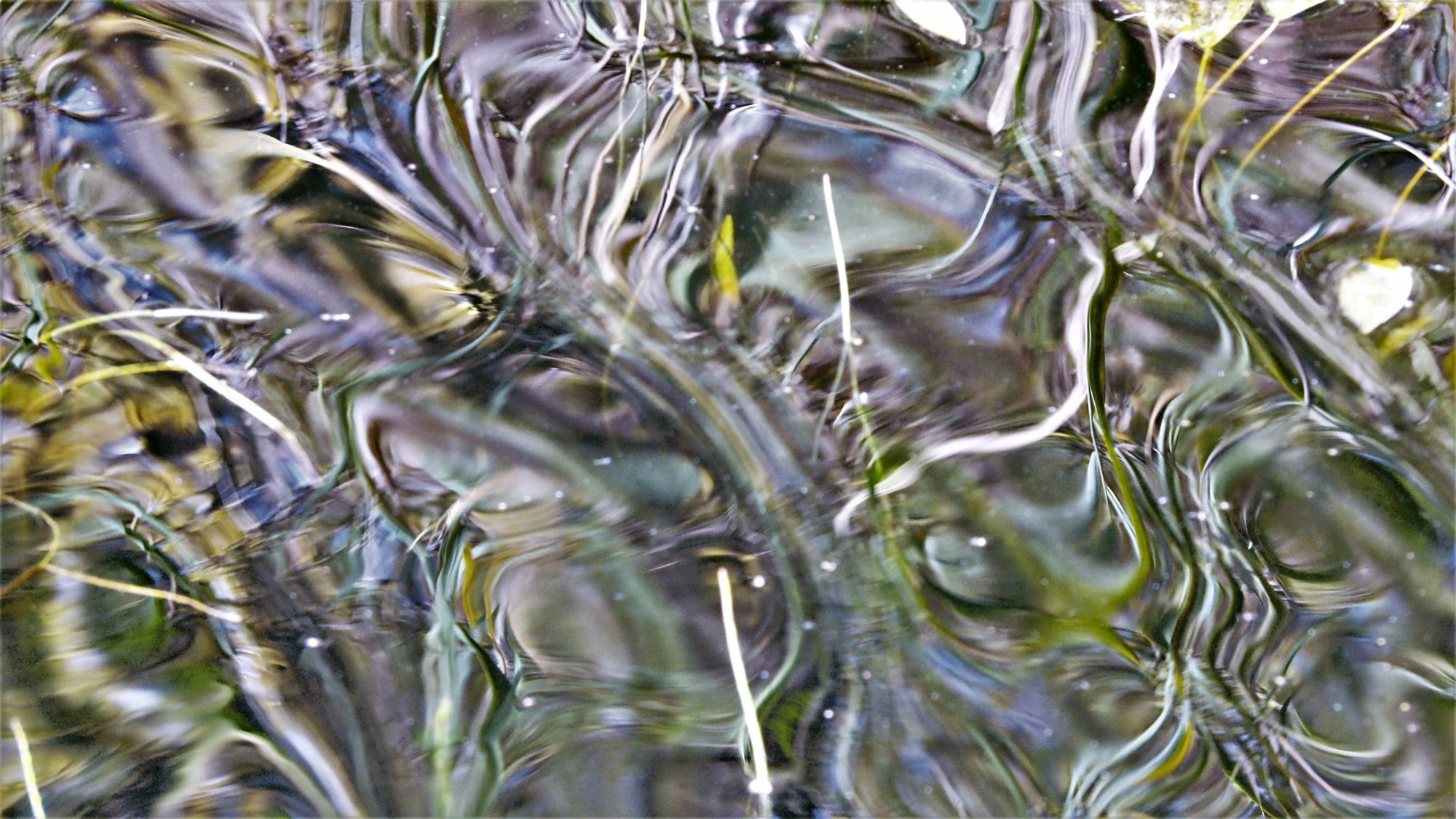 Valokuvaaja: Arja Valtonen