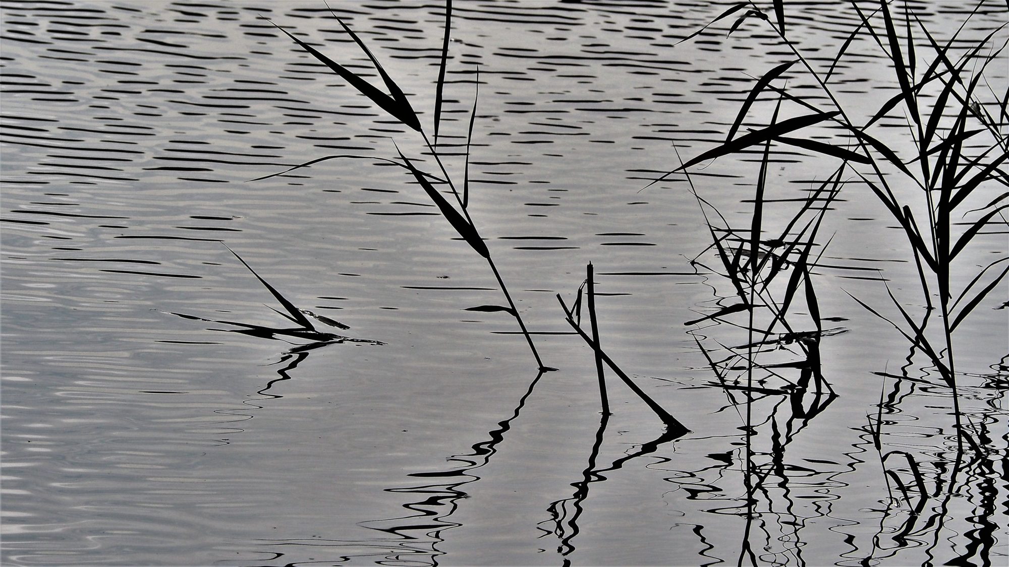 Valokuvaaja: Arja Valtonen