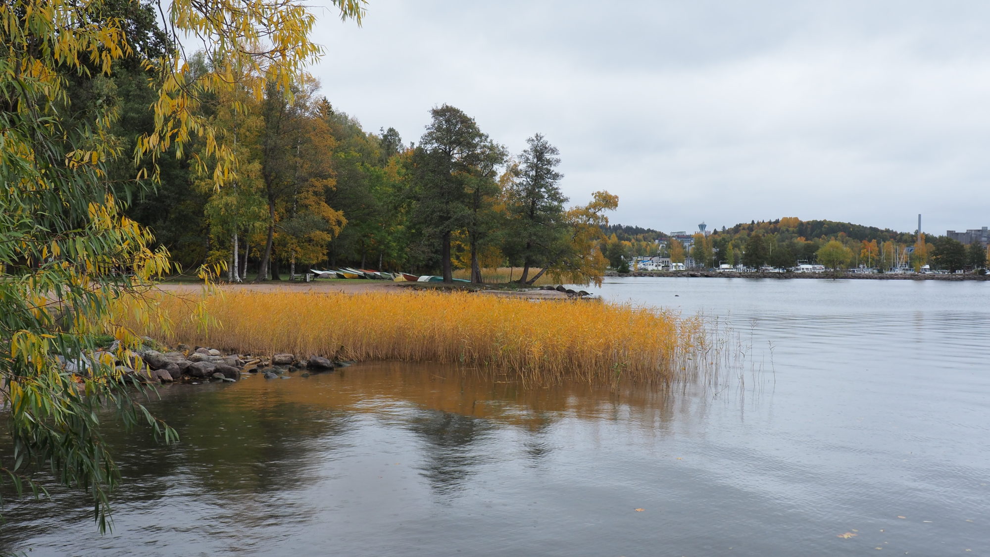 Valokuvaaja: Arja Valtonen Valokuvaaja: Arja Valtonen