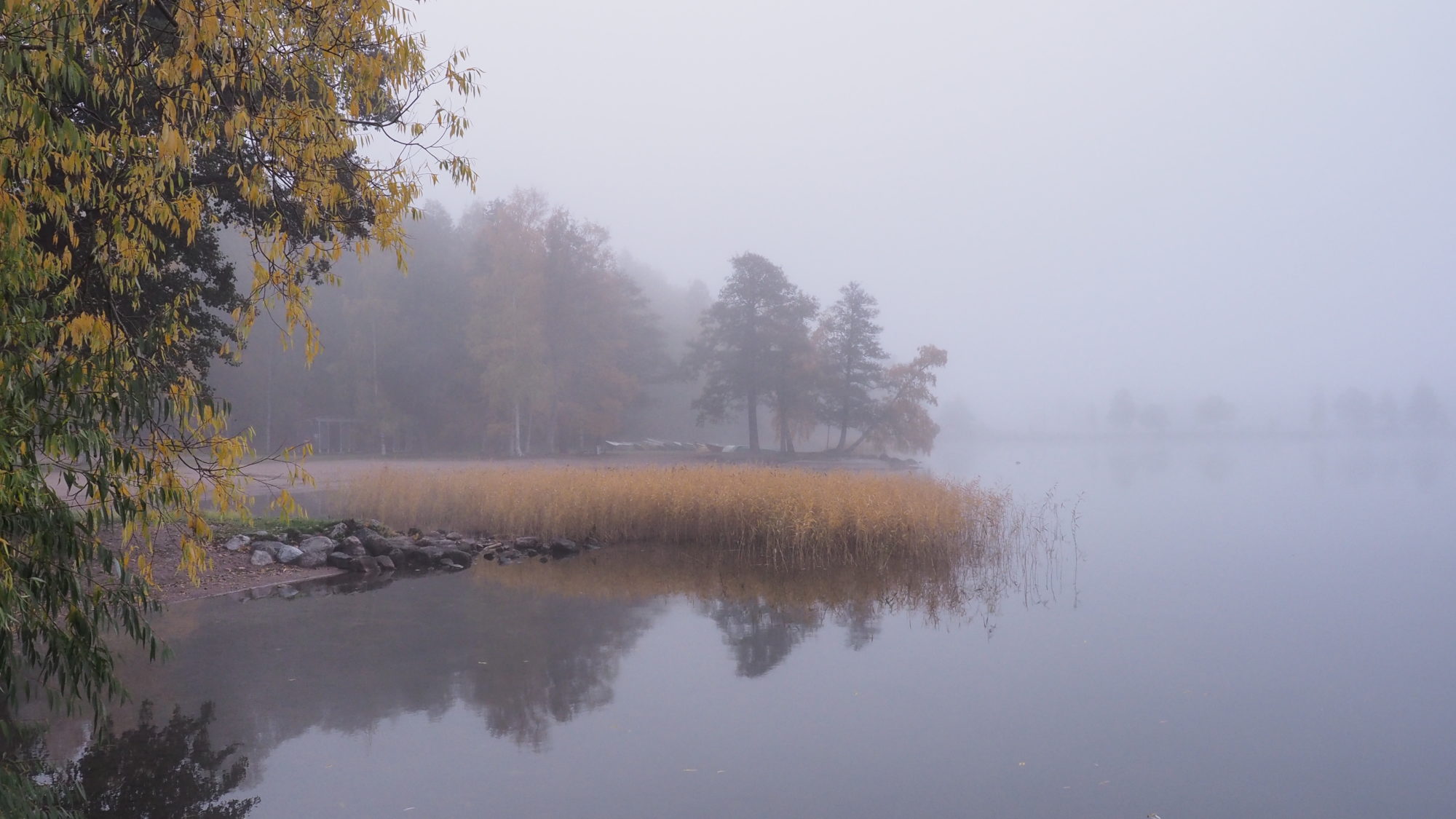 Valokuvaaja: Arja Valtonen Valokuvaaja: Arja Valtonen
