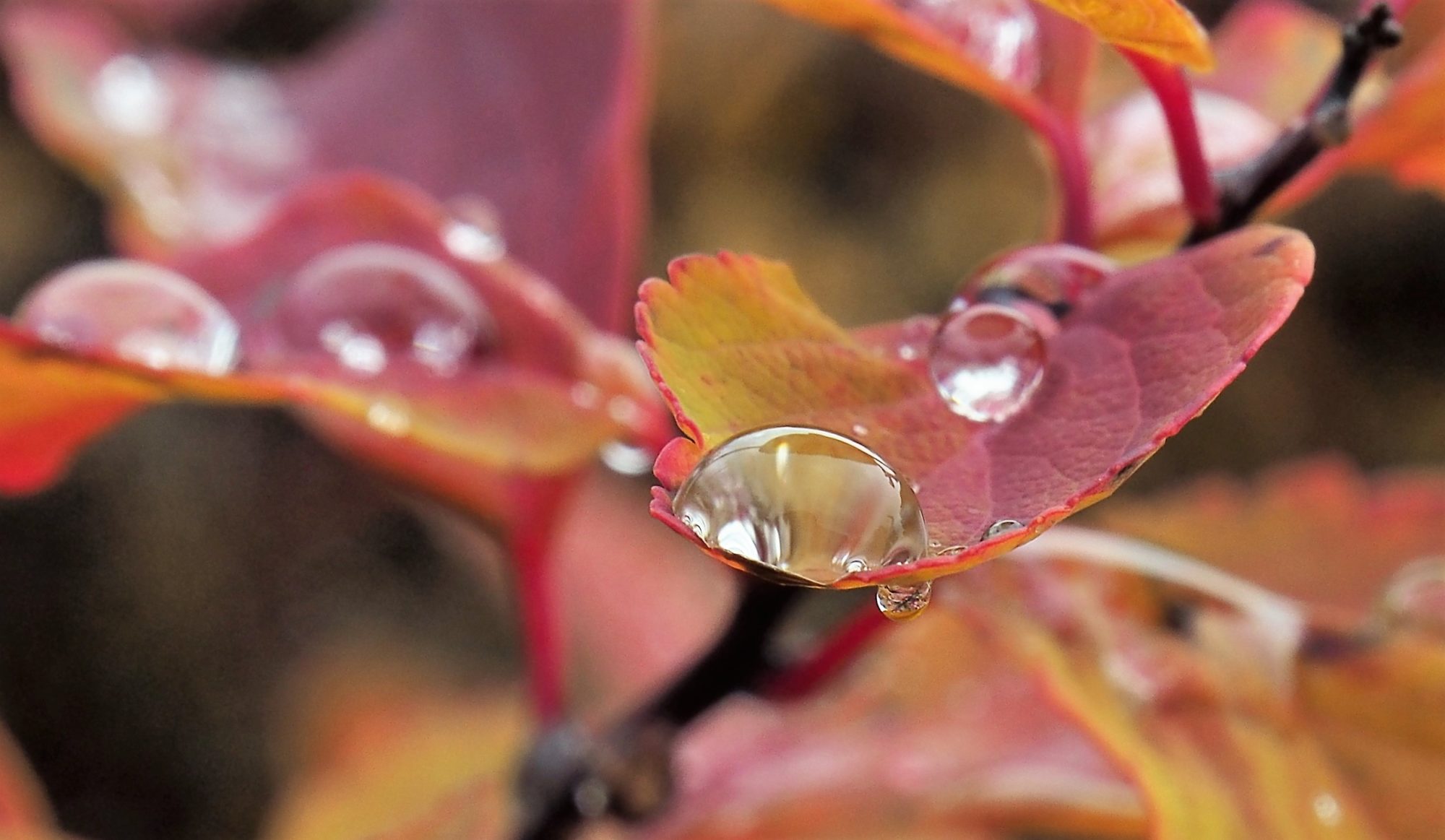 Valokuvaaja: Martti Valtonen
