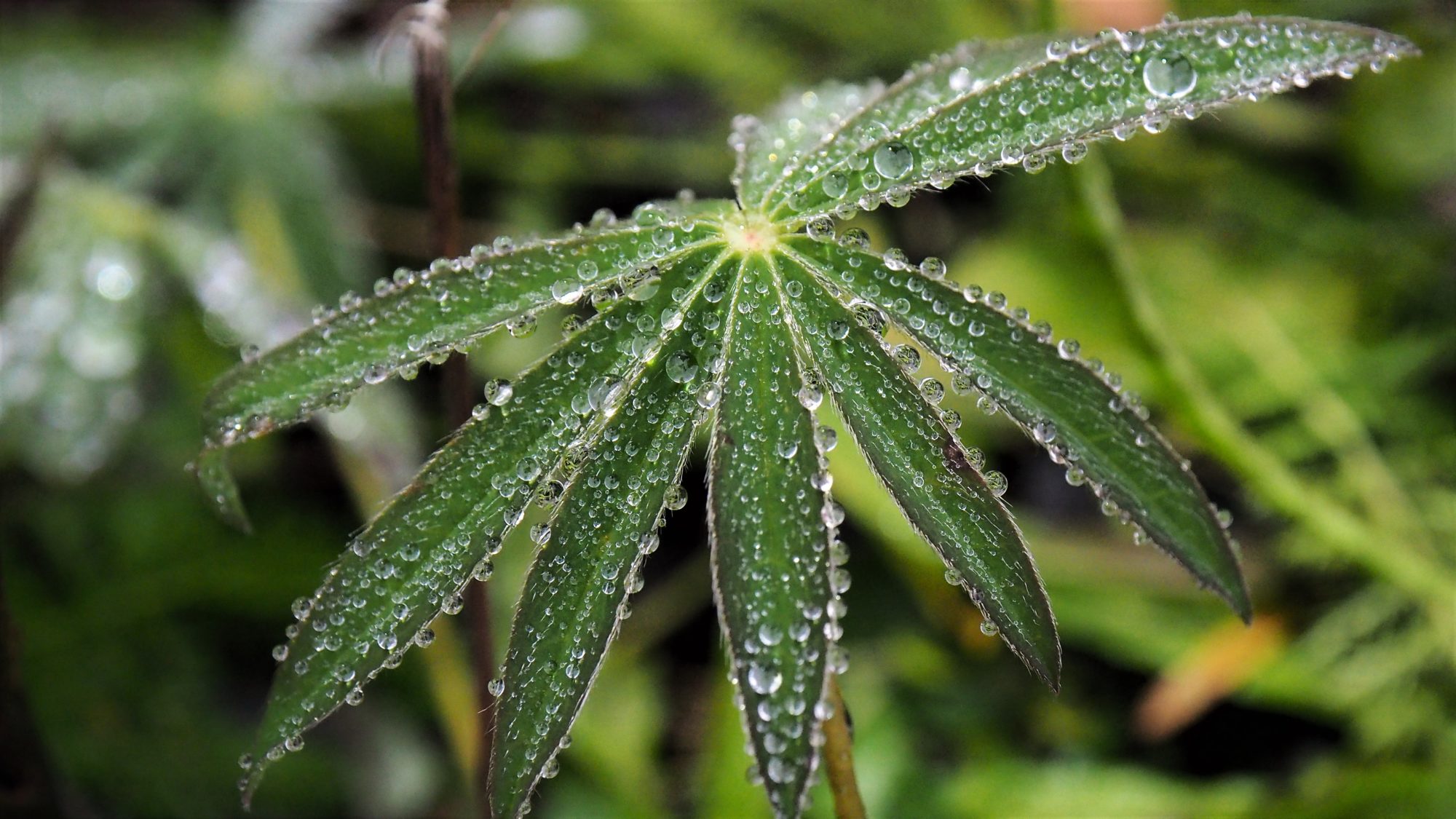 Valokuvaaja: Arja Valtonen Valokuvaaja: Arja Valtonen