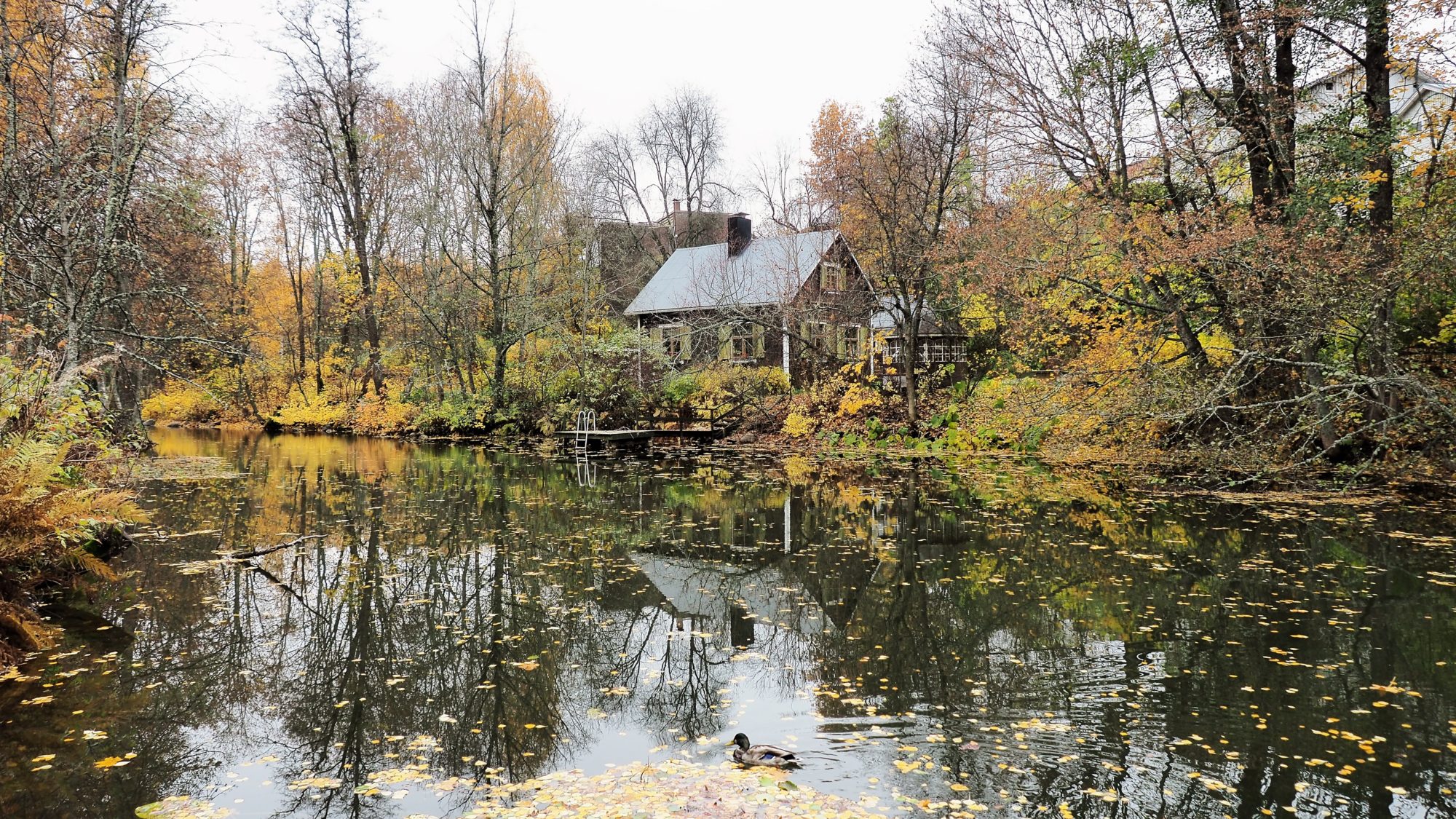 Valokuvaaja: Arja Valtonen