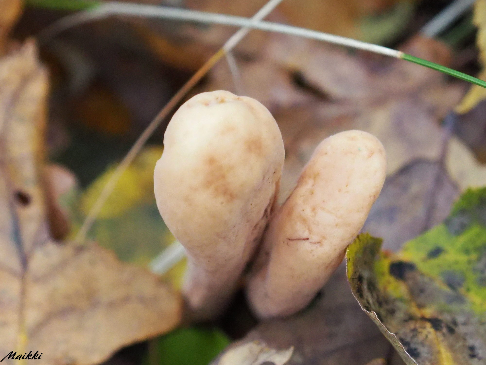 Valokuvaaja: Marja-Leena Kuusisto