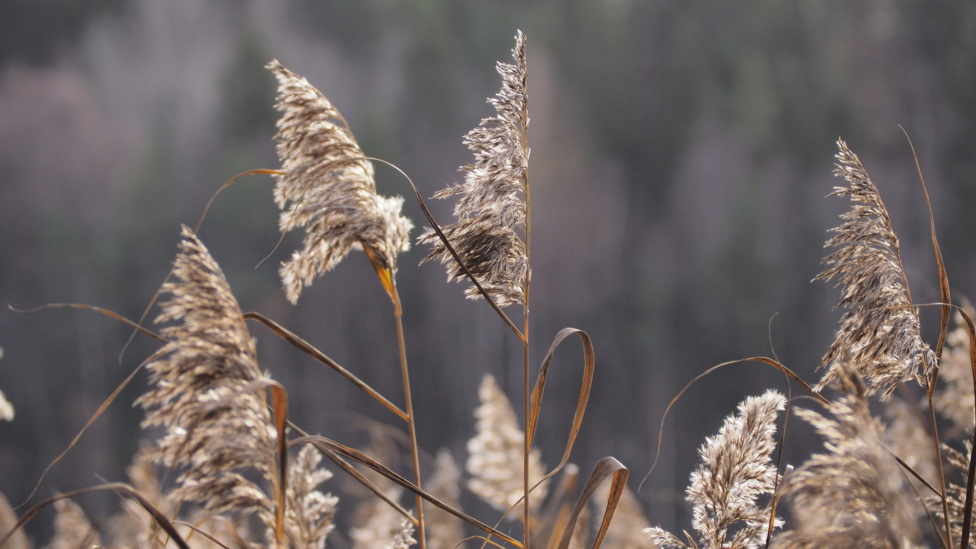 Valokuvaaja: Arja Valtonen