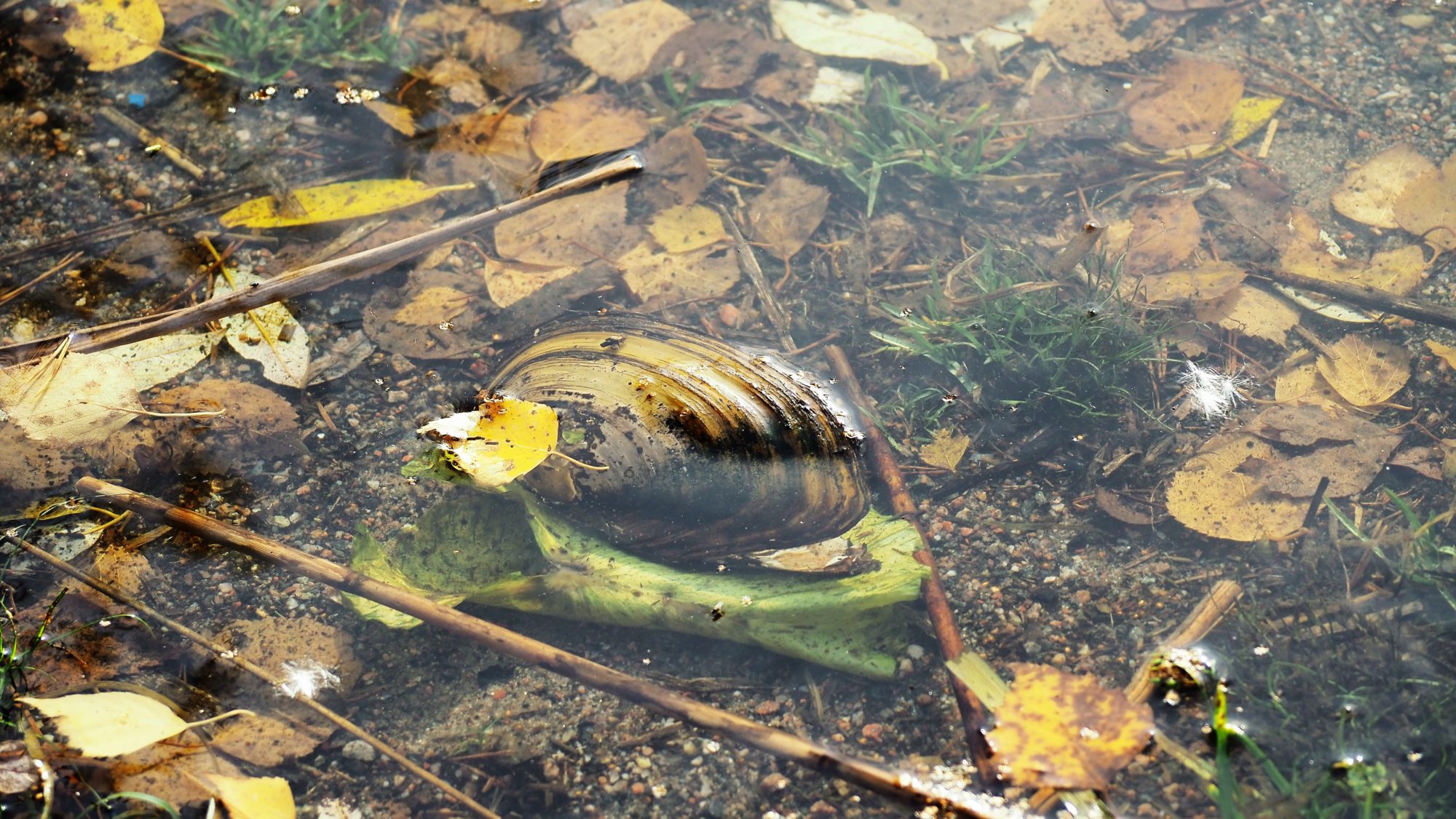 Valokuvaaja: Arja Valtonen