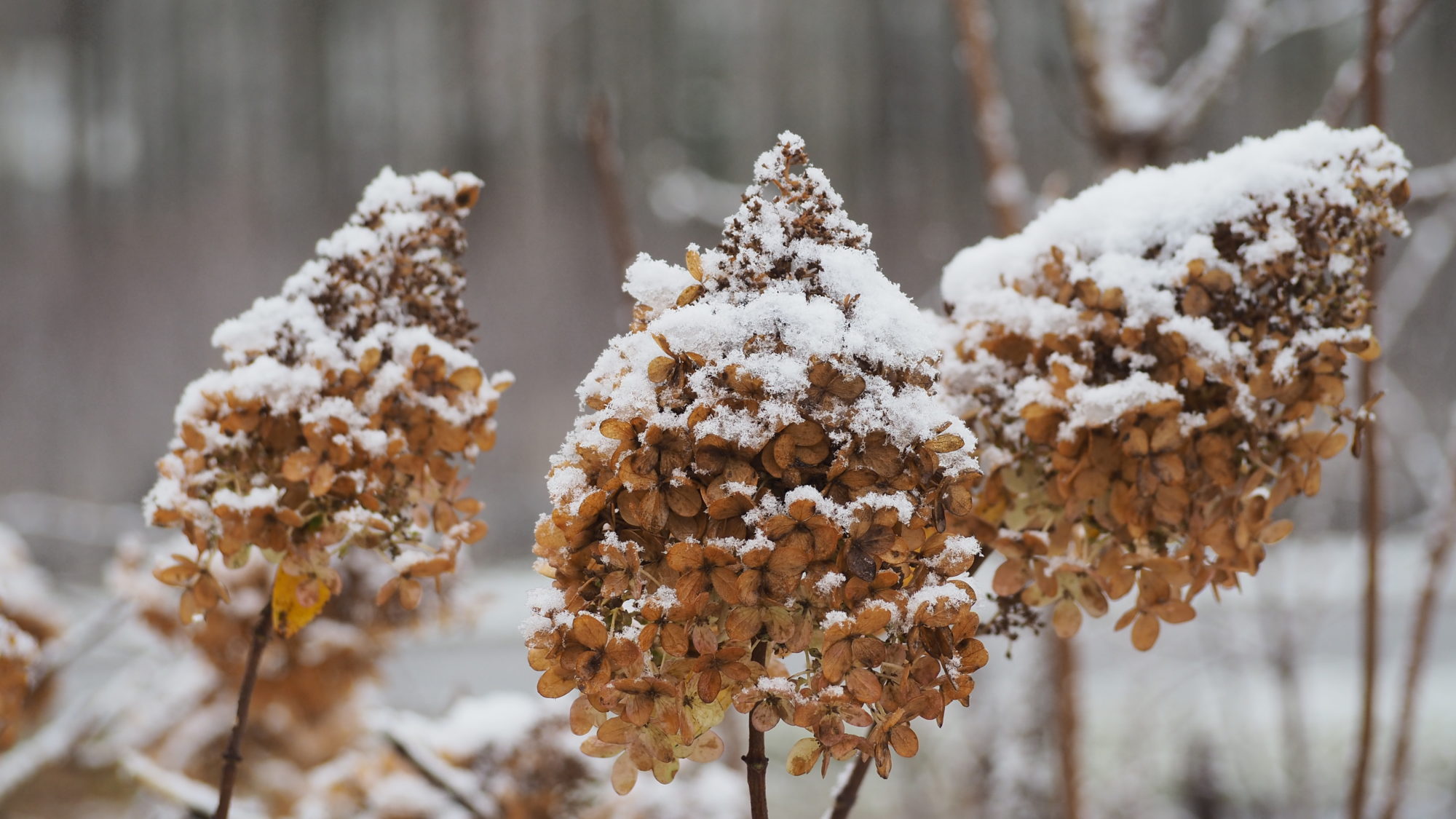 Valokuvaaja: Arja Valtonen