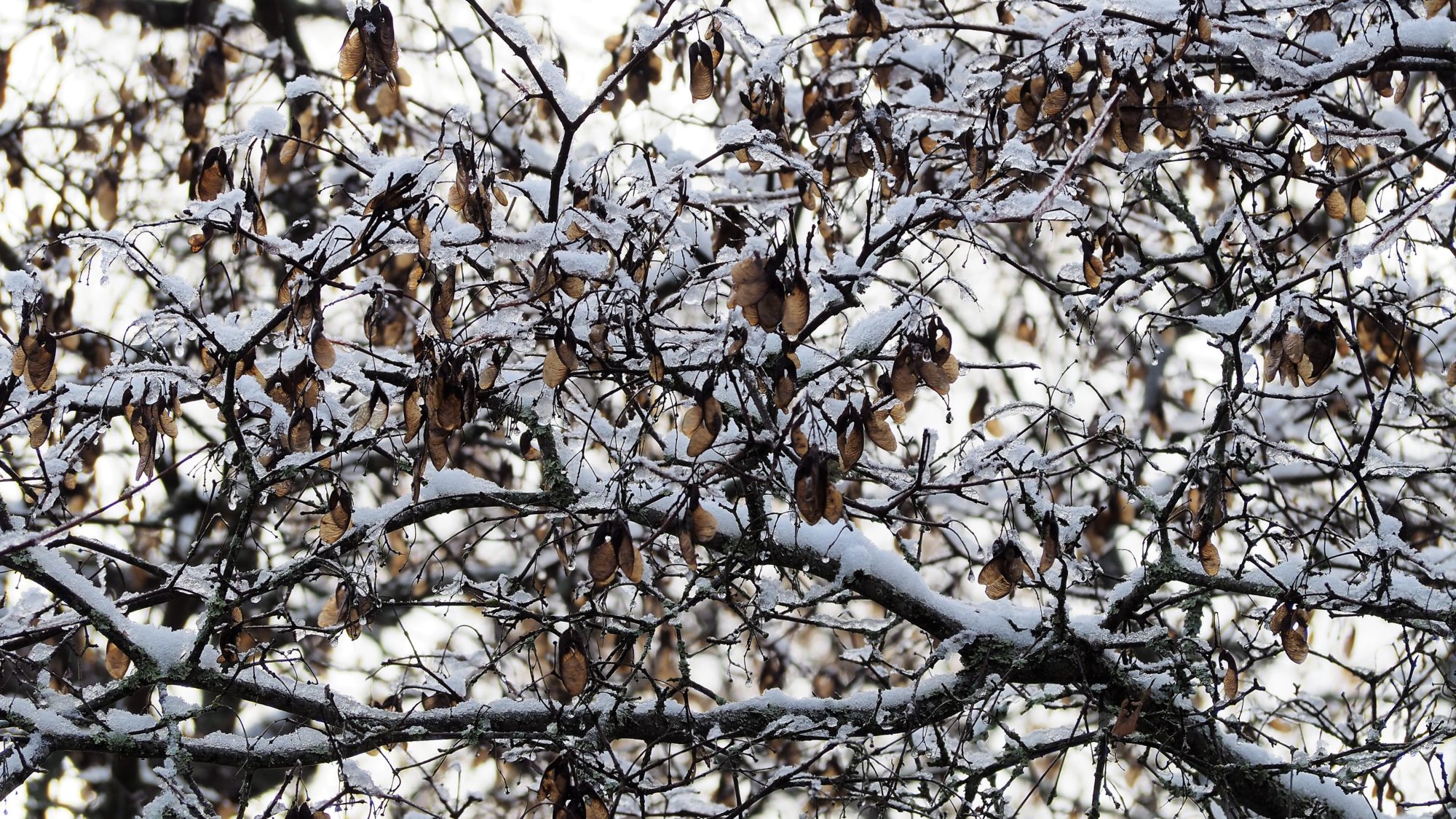 Valokuvaaja: Arja Valtonen