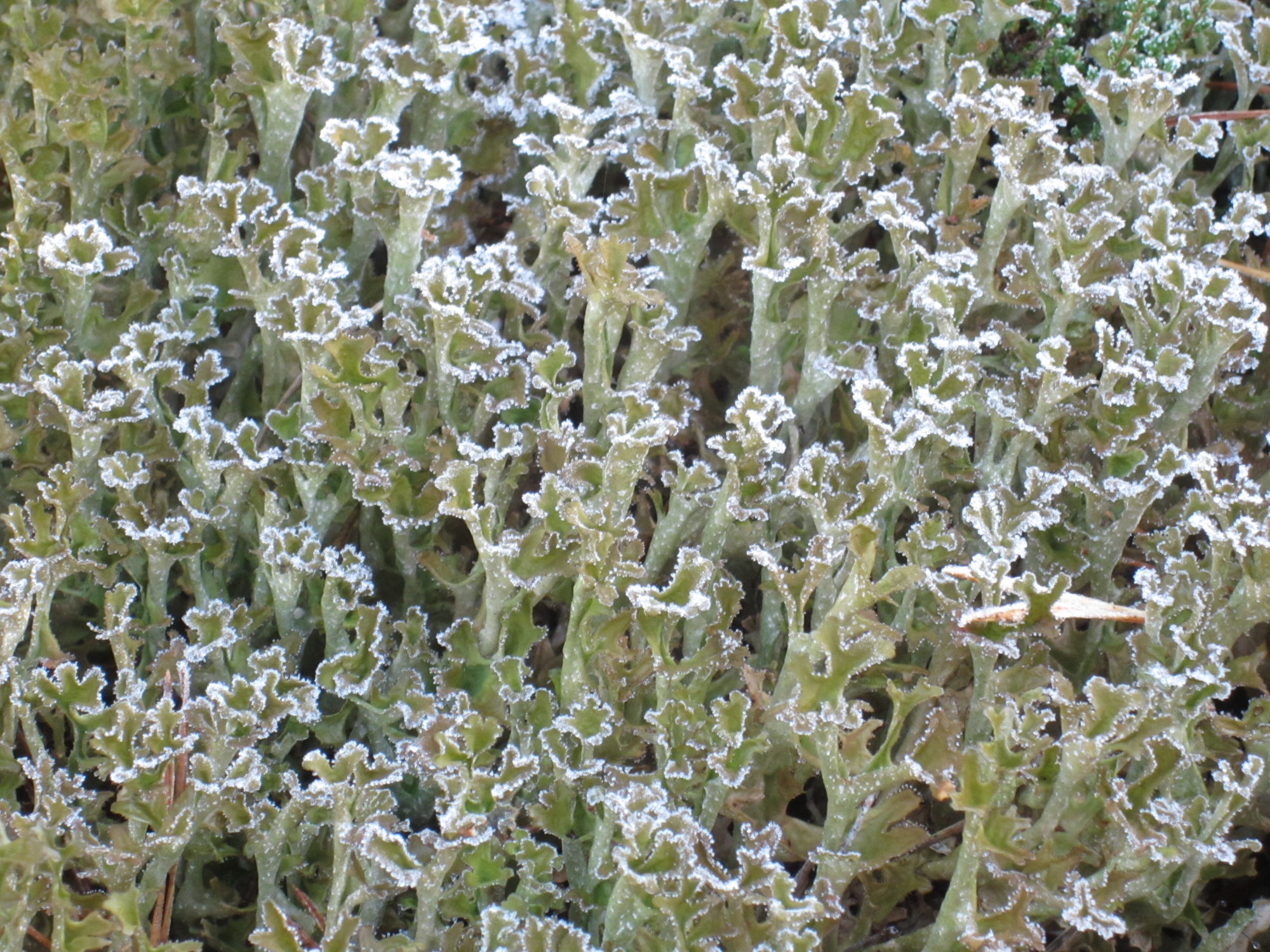 Valokuvaaja: Marita Portin