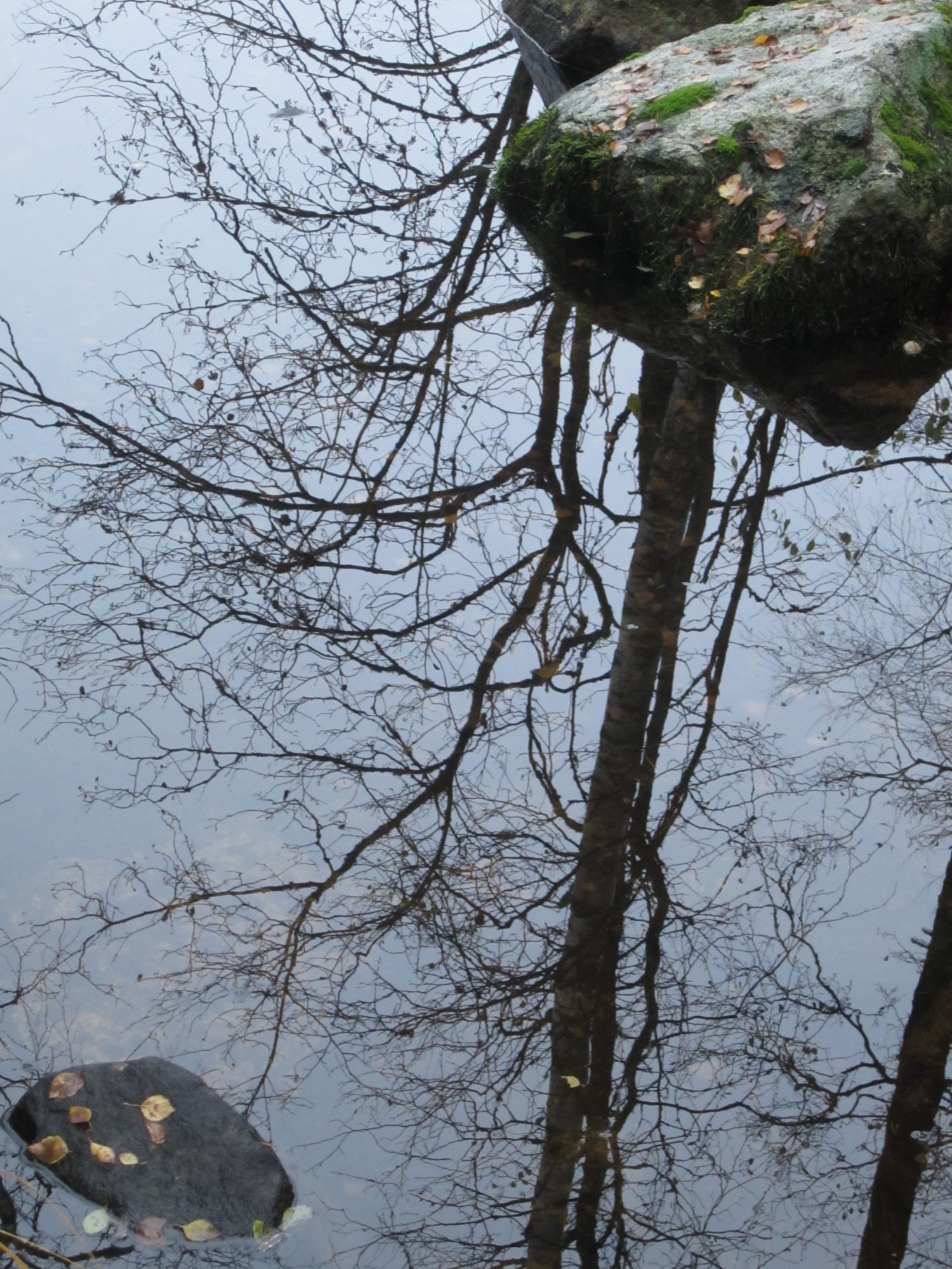 Valokuvaaja: Marita Portin