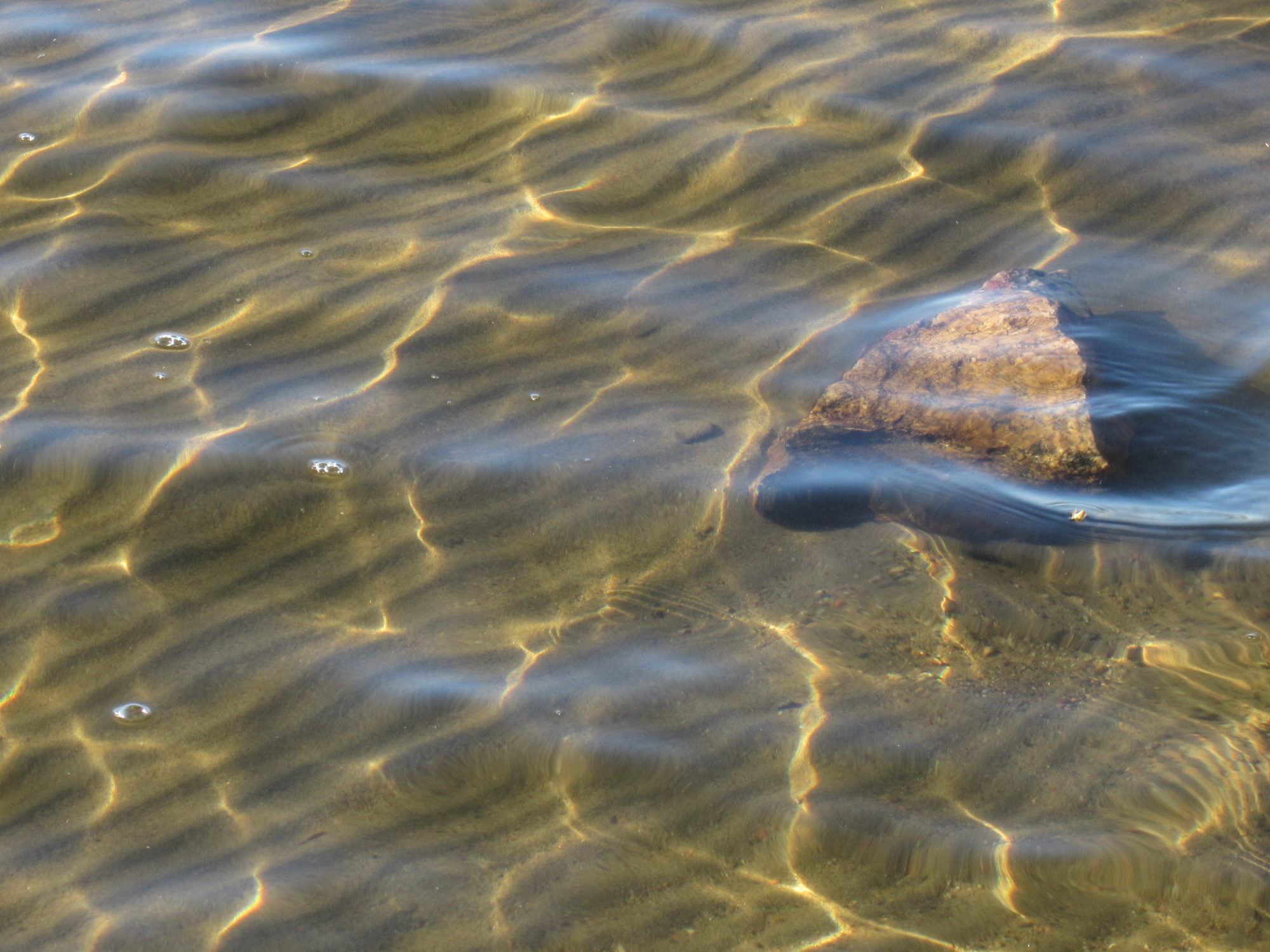 Valokuvaaja: Marita Portin