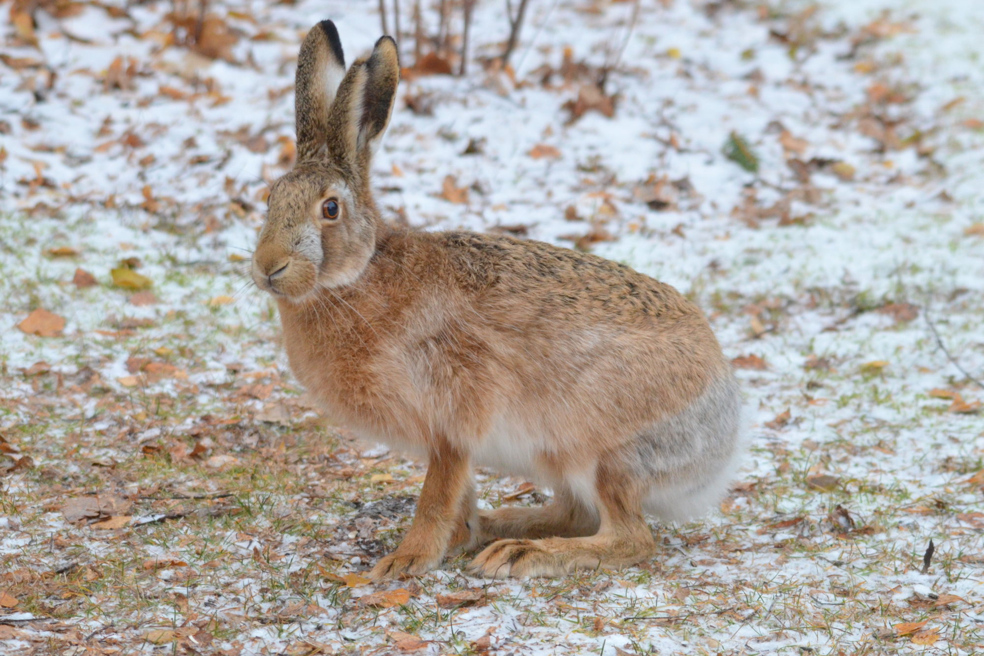 Valokuvaaja: Kaarlo Asikainen