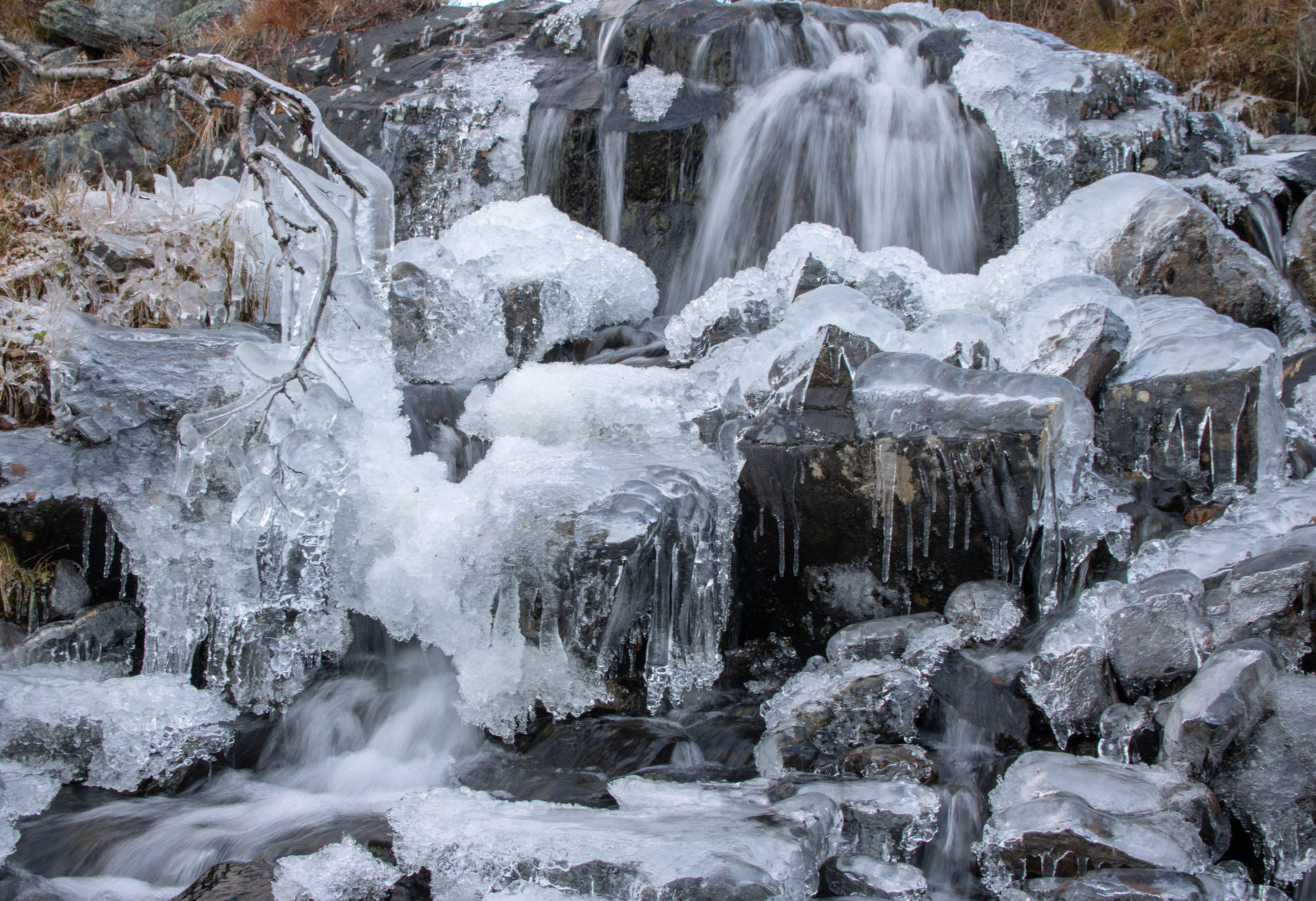 Valokuvaaja: Katri Niskanen