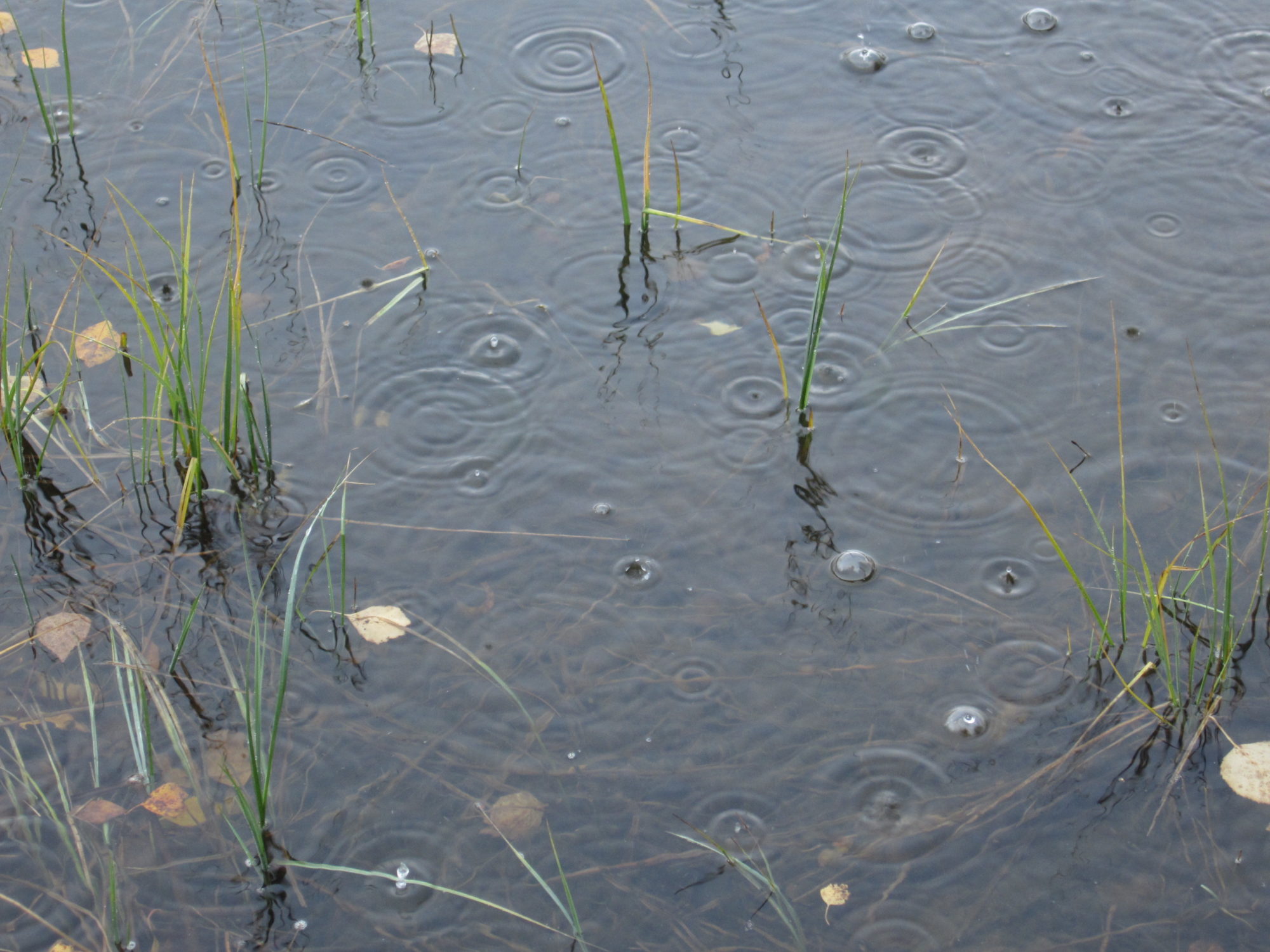 Valokuvaaja: Marita Portin Valokuvaaja: Marita Portin