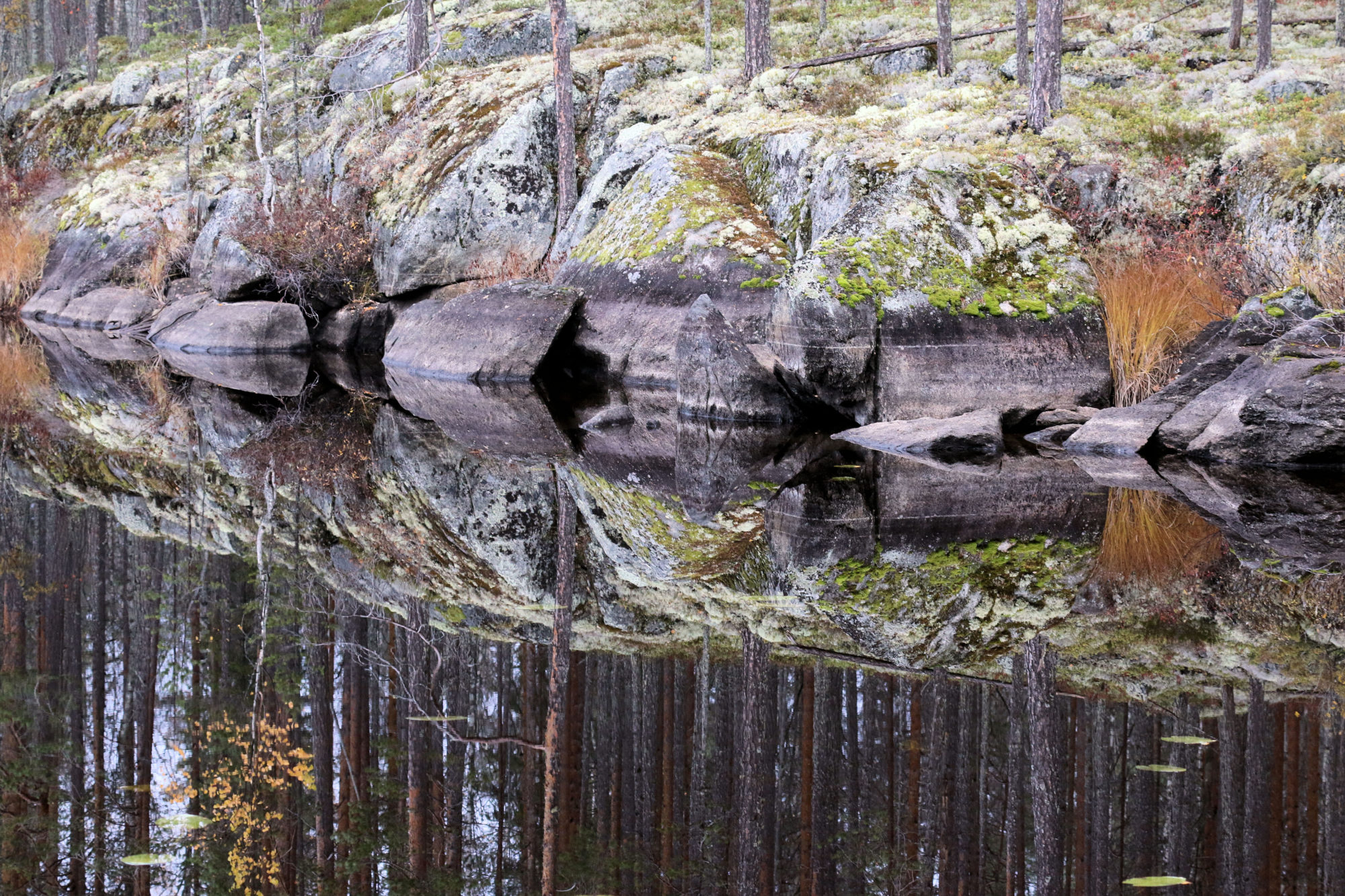 Valokuvaaja: Ahti Keränen
