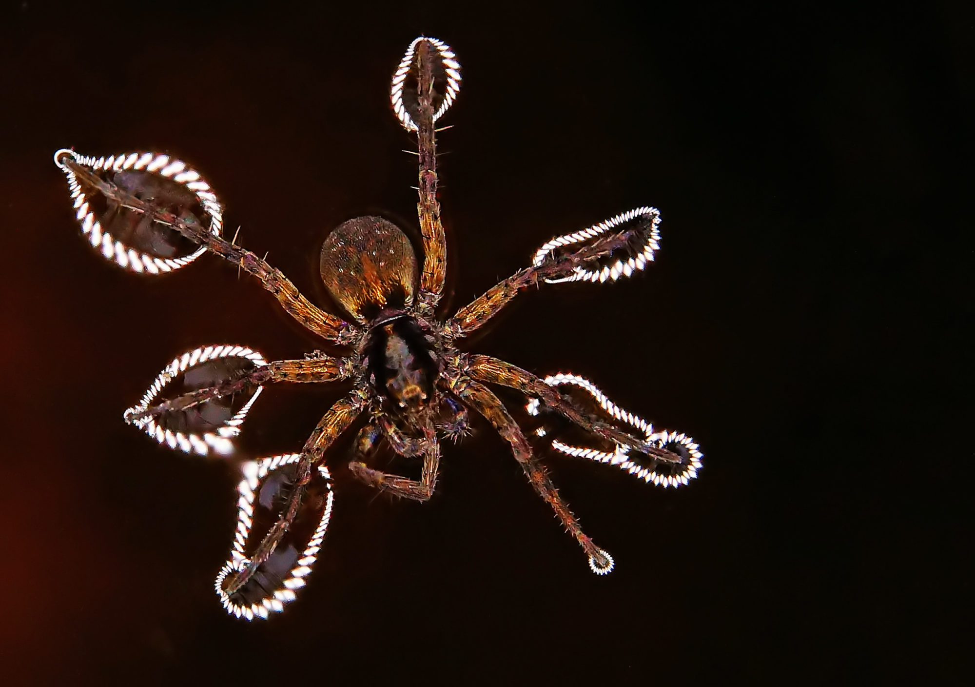 Valokuvaaja: Juhani Harkas