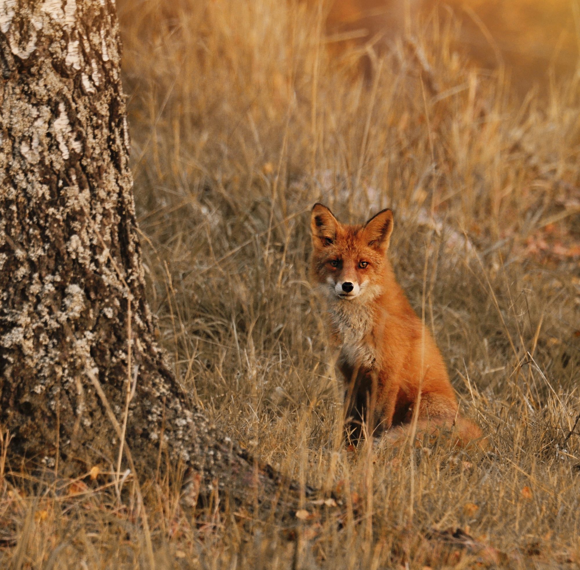 Valokuvaaja: Jenni Merilä