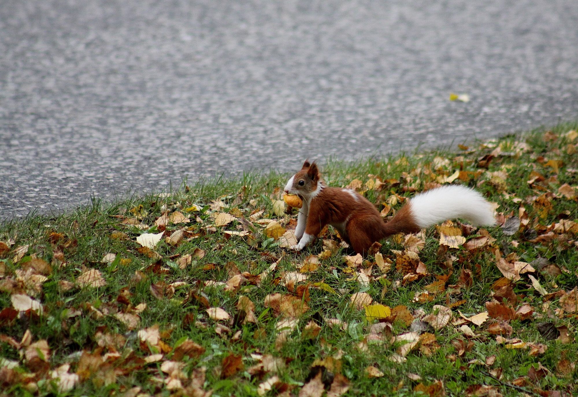 Valokuvaaja: Pirkko Siukonen