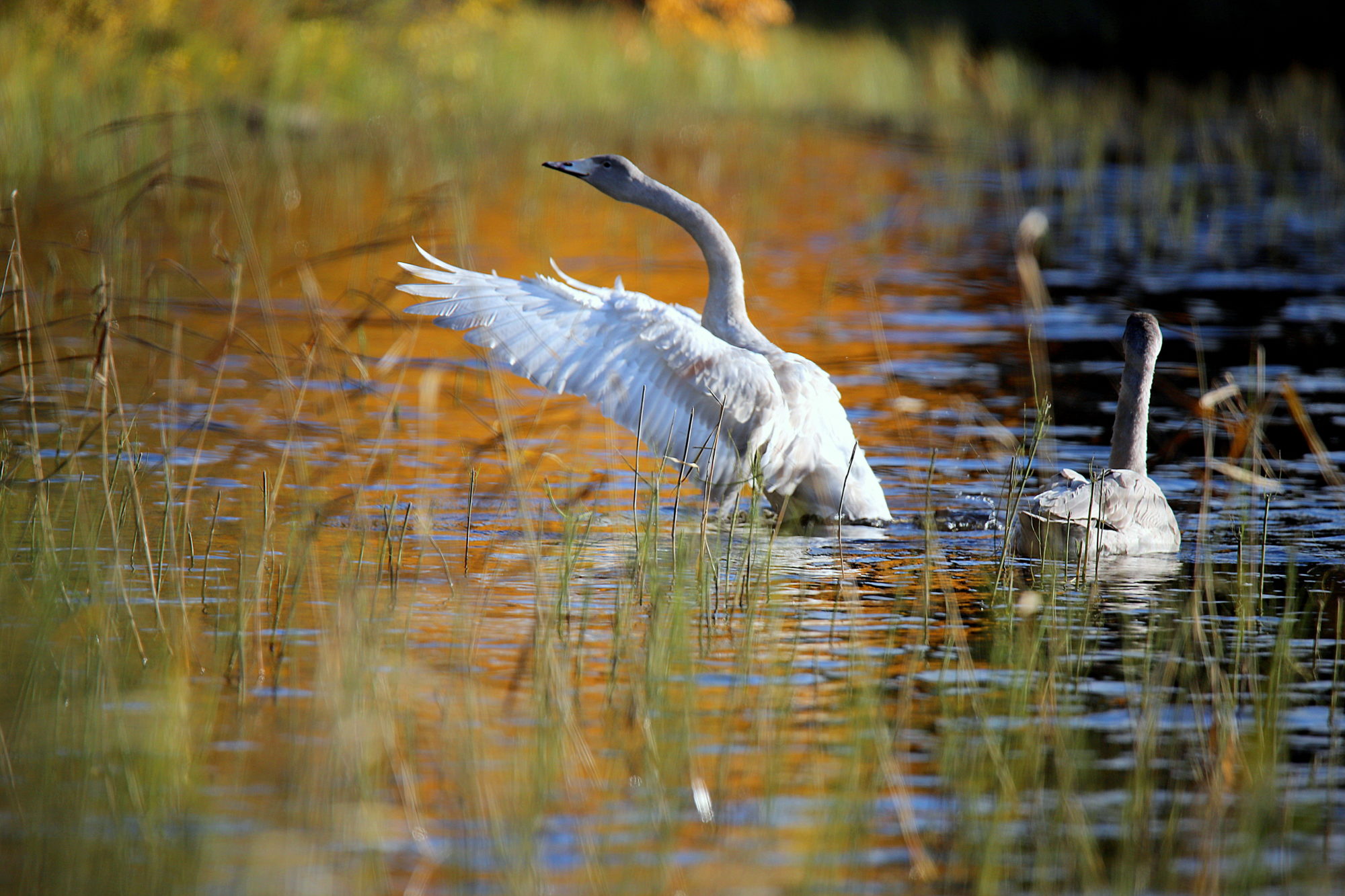 Valokuvaaja: sirpa jyske