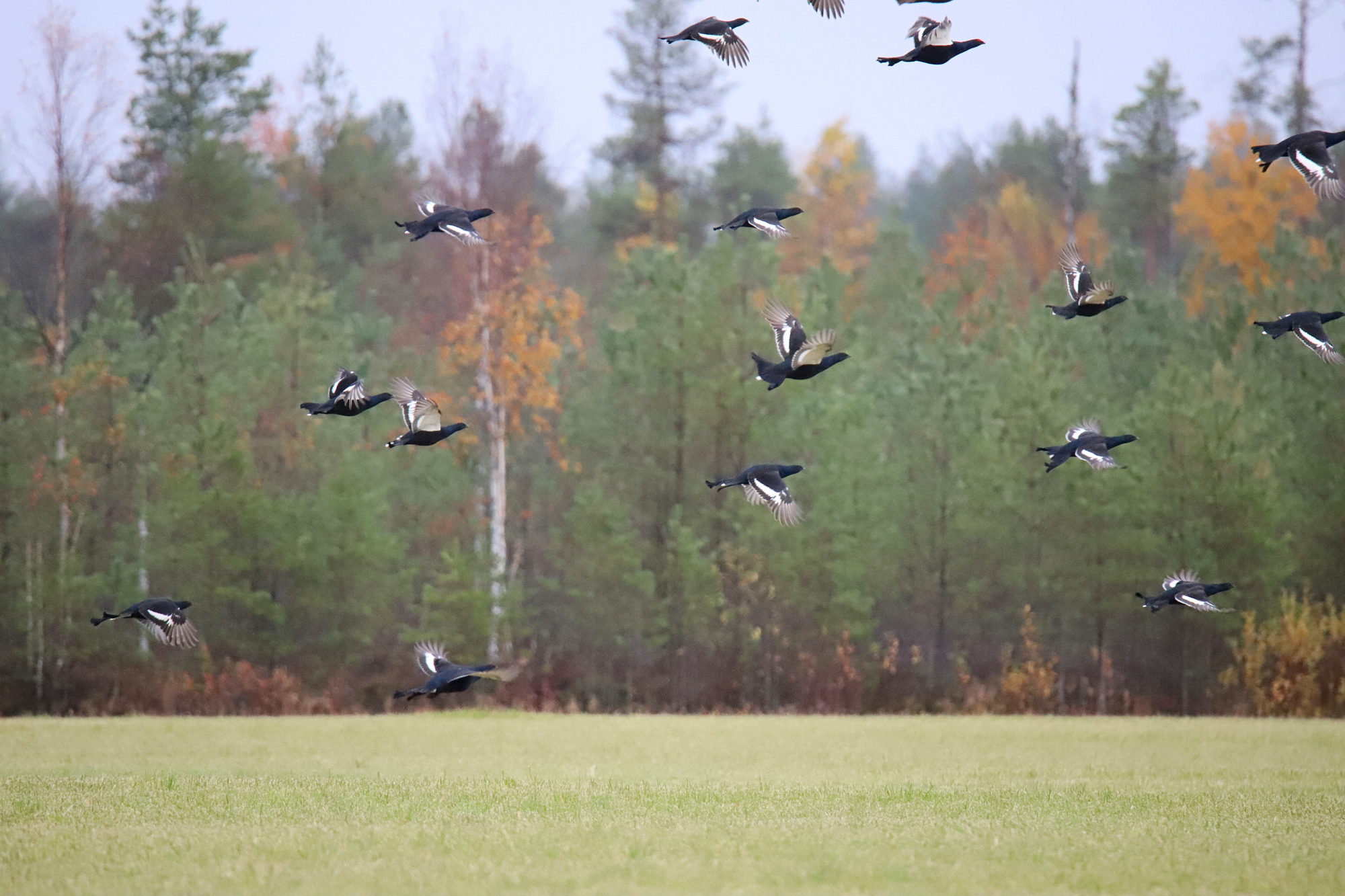 Valokuvaaja: sirpa jyske