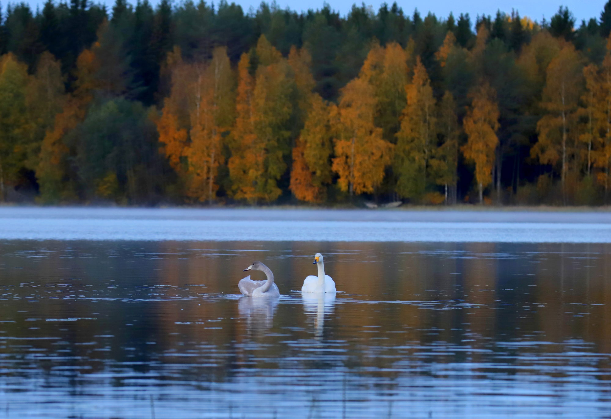 Valokuvaaja: sirpa jyske