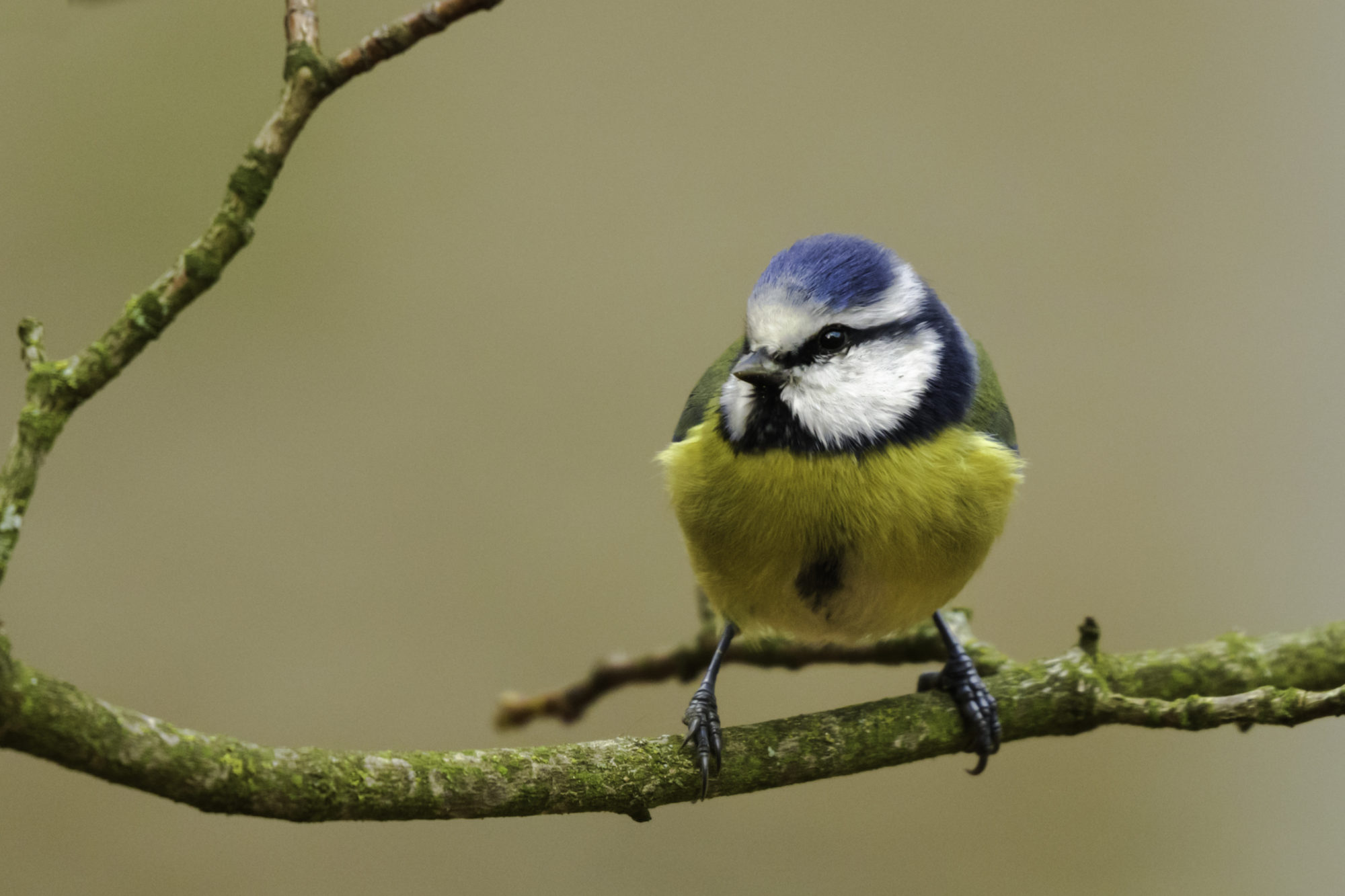 Valokuvaaja: Risto Lavi Valokuvaaja: Risto Lavi