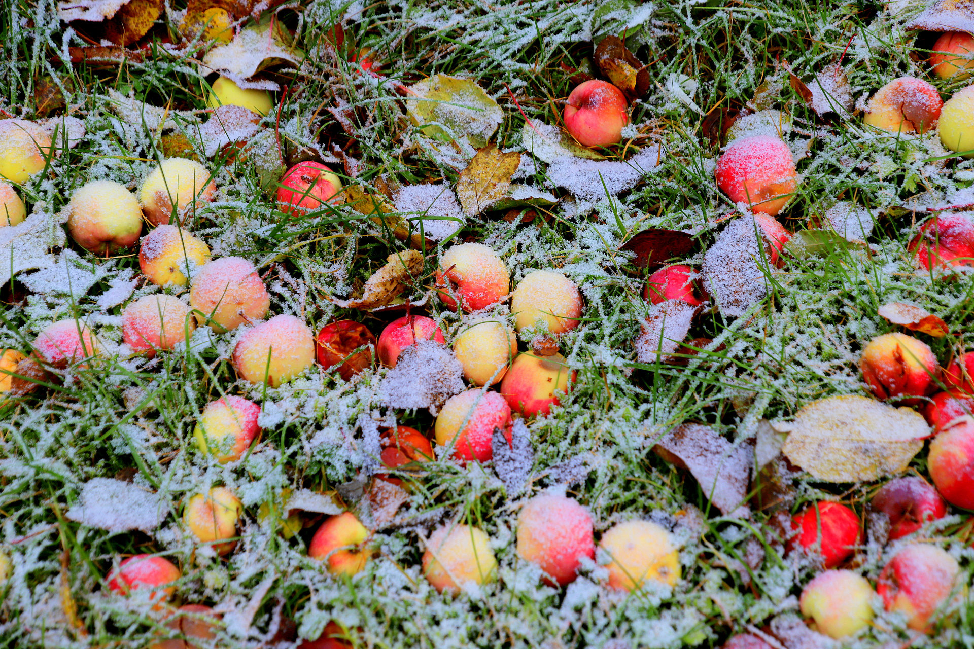 Valokuvaaja: sirpa jyske