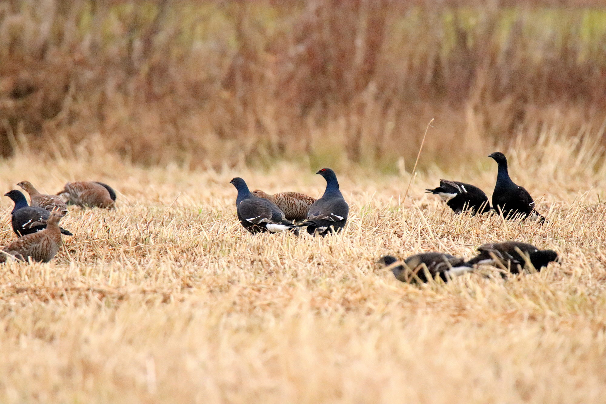 Valokuvaaja: sirpa jyske