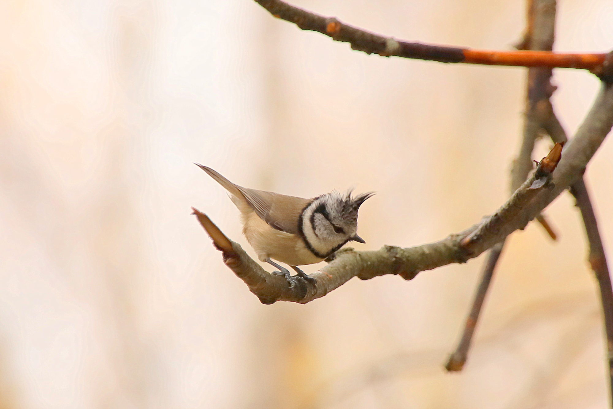 Valokuvaaja: sirpa jyske