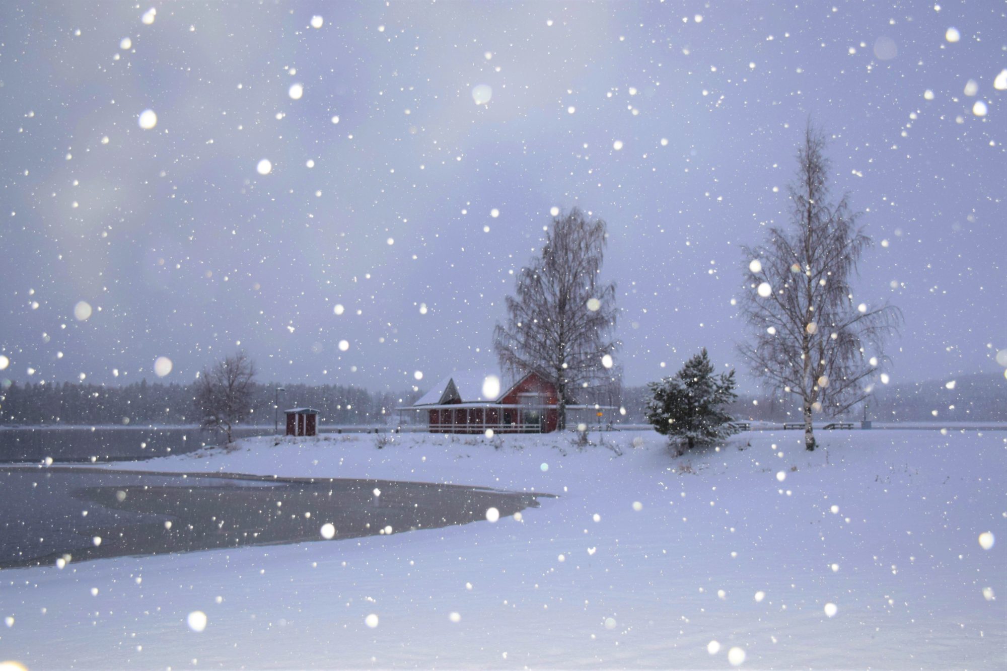 Valokuvaaja: Leena Rissanen