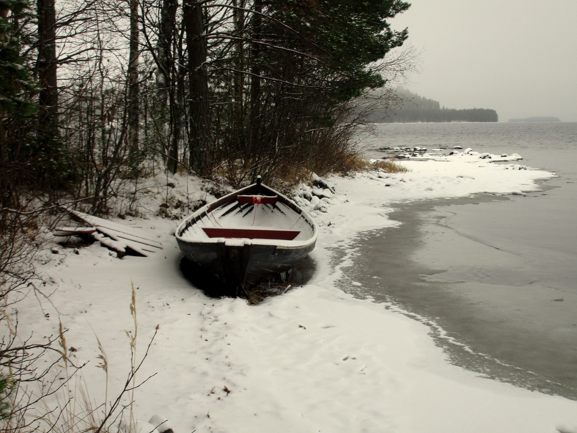 Valokuvaaja: Tiina Rautava