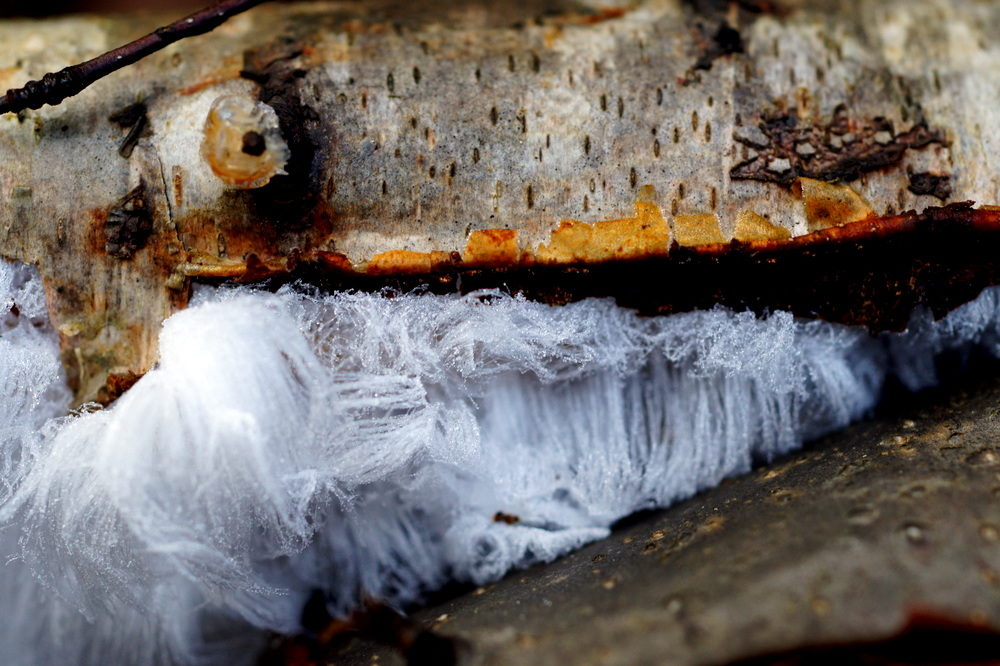 Valokuvaaja: Saara Korhonen