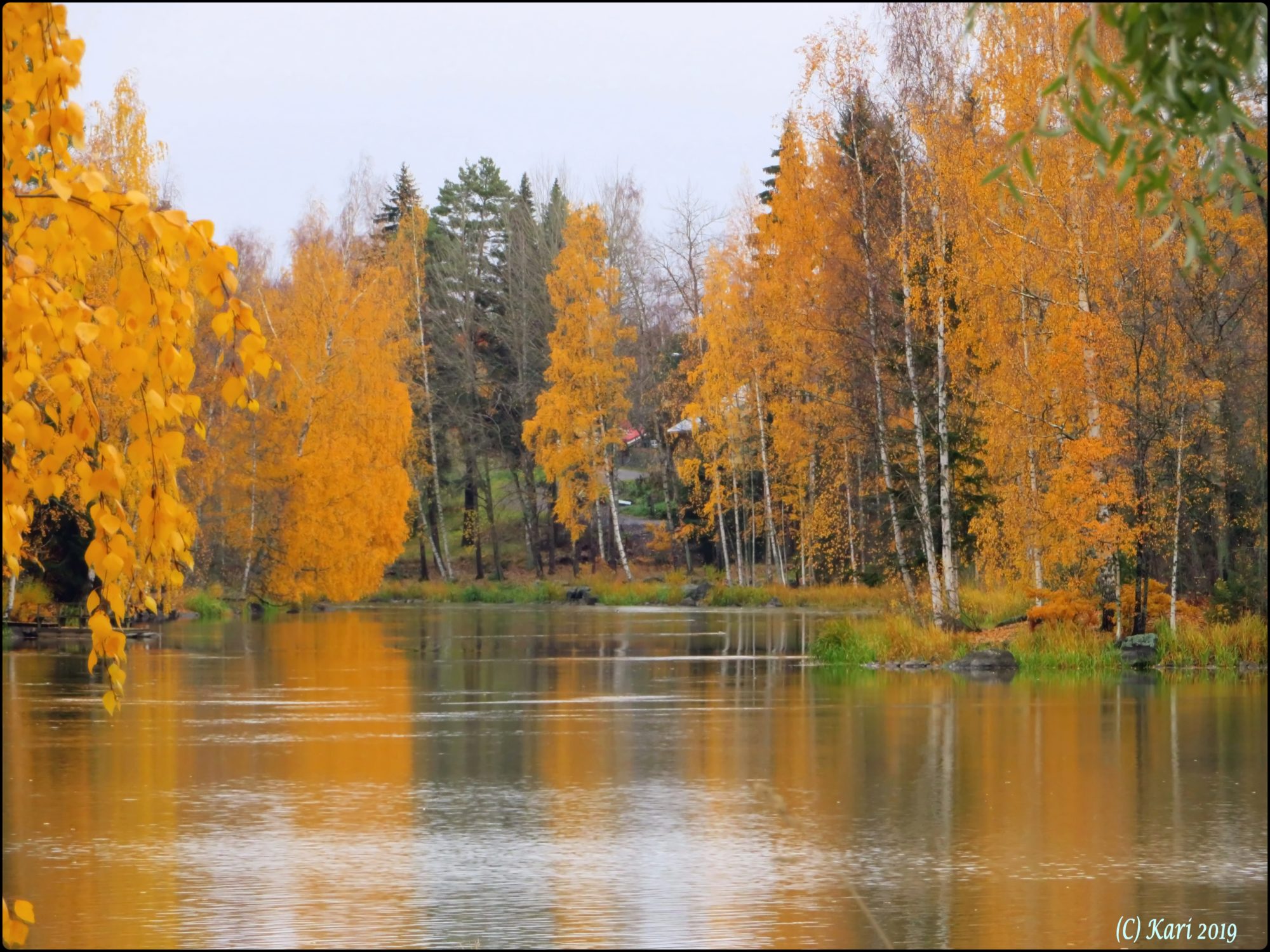 Valokuvaaja: Kari Saarinen