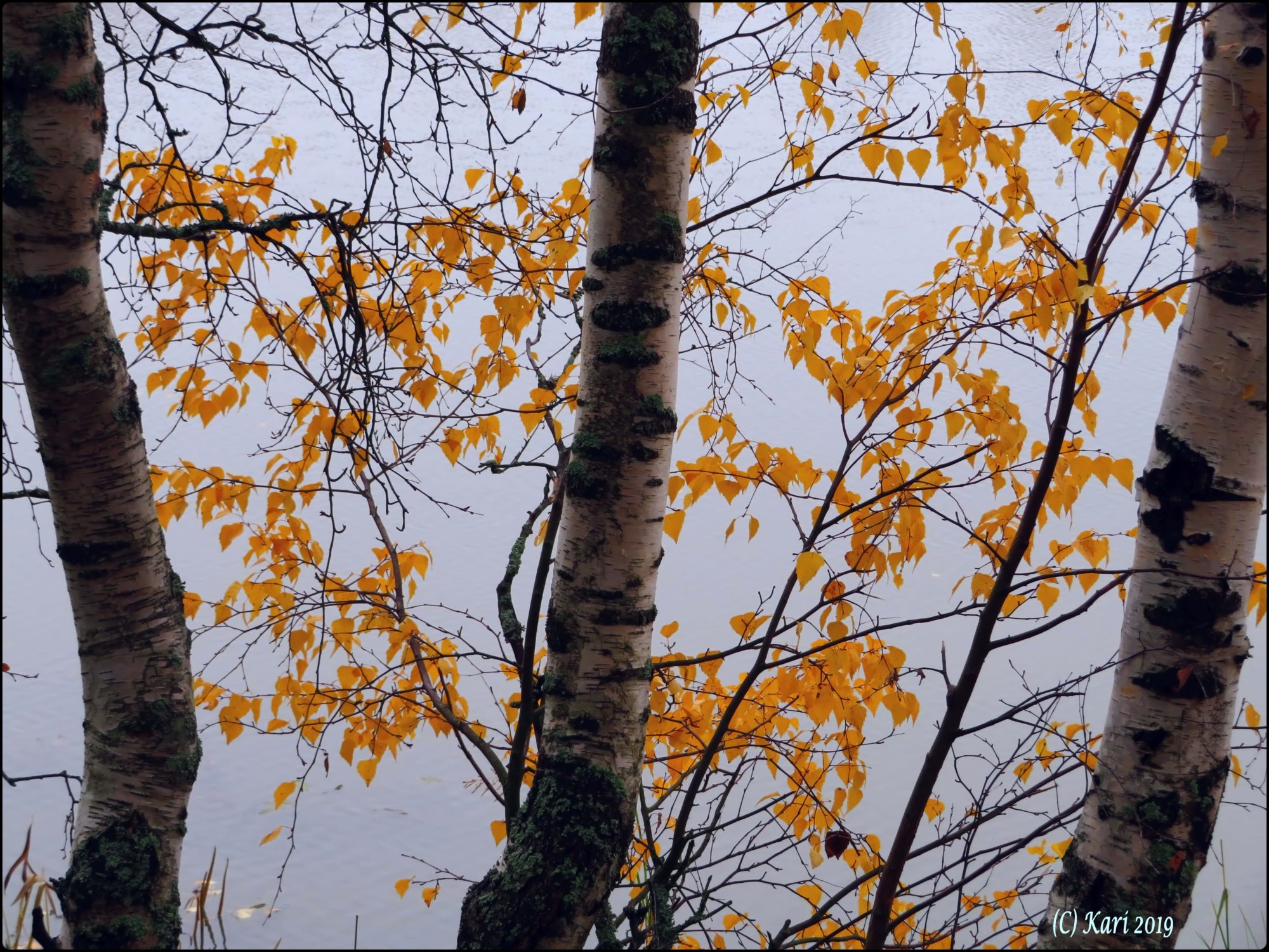 Valokuvaaja: Kari Saarinen Valokuvaaja: Kari Saarinen