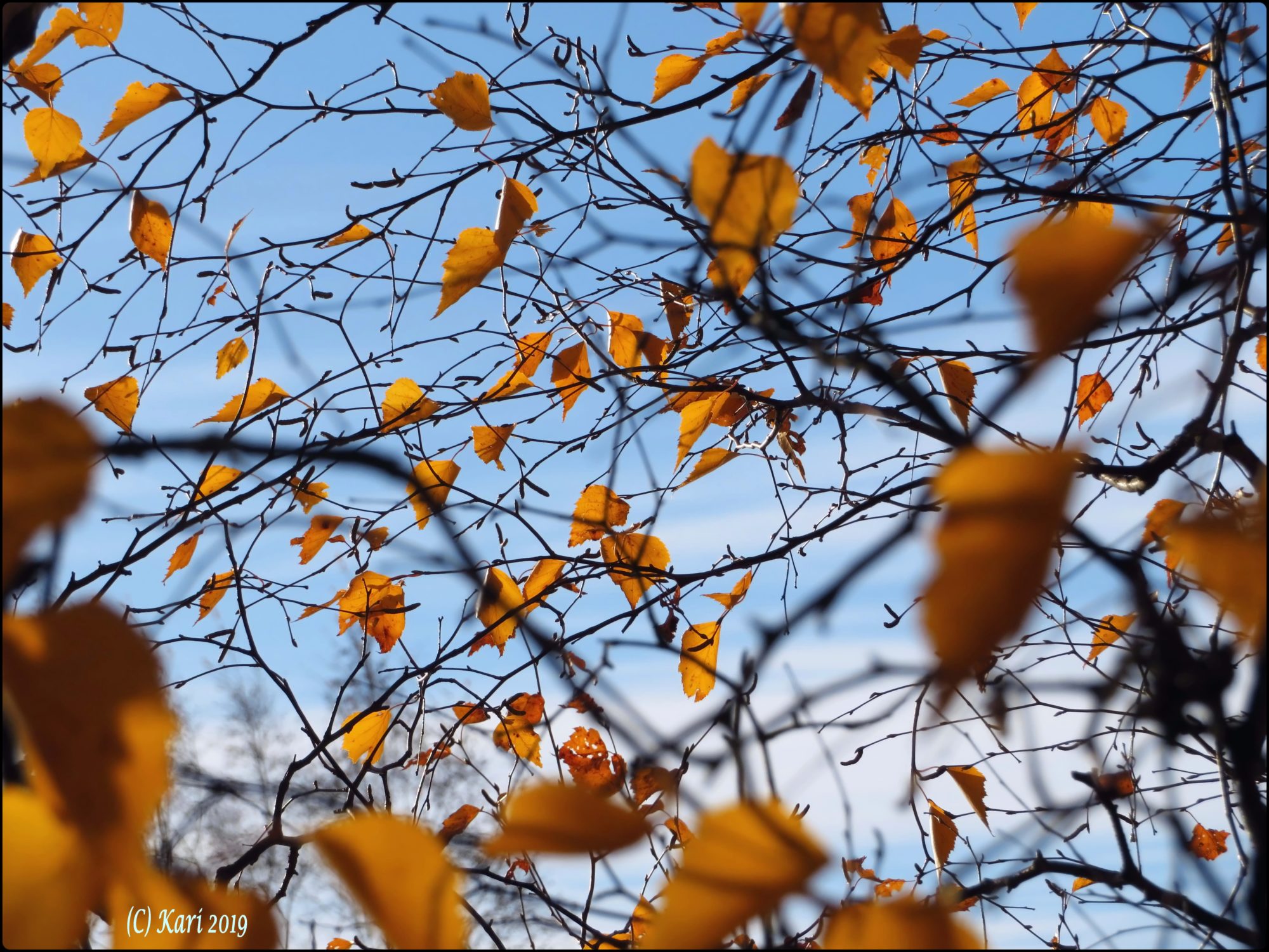 Valokuvaaja: Kari Saarinen