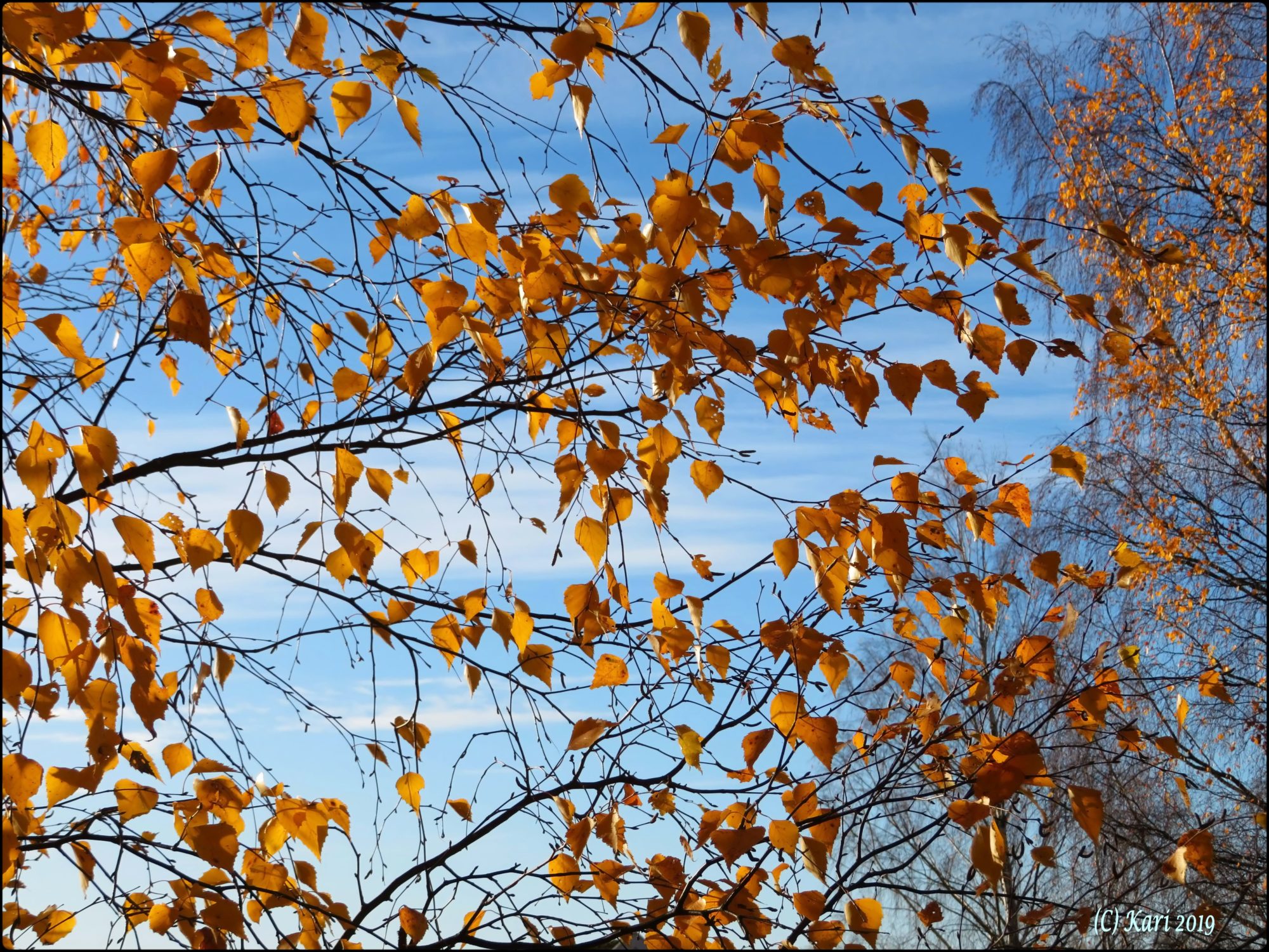Valokuvaaja: Kari Saarinen Valokuvaaja: Kari Saarinen