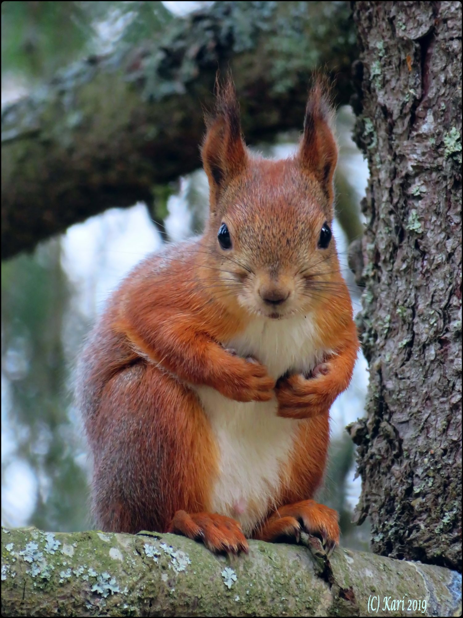 Valokuvaaja: Kari Saarinen