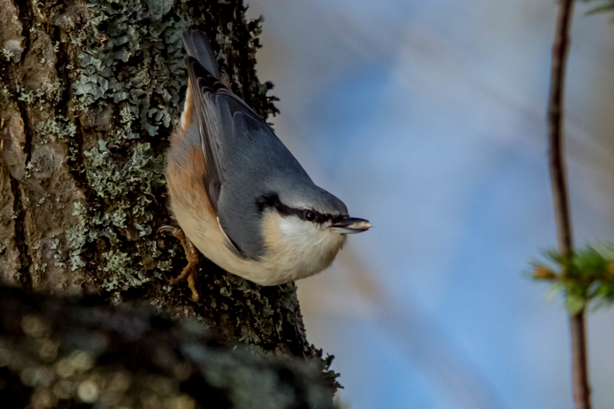 Valokuvaaja: Markku Salonen
