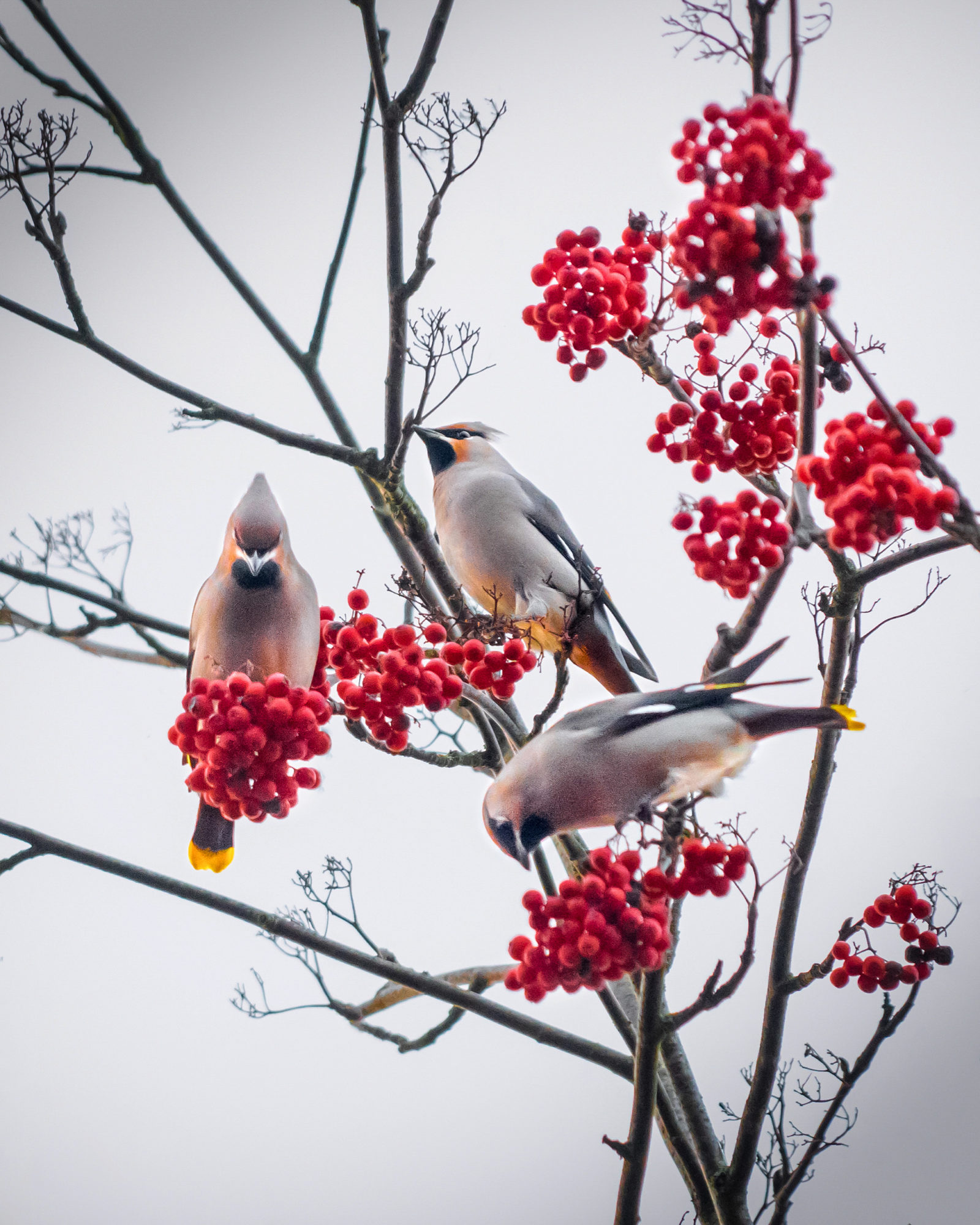 Valokuvaaja: Joni Ilmanen