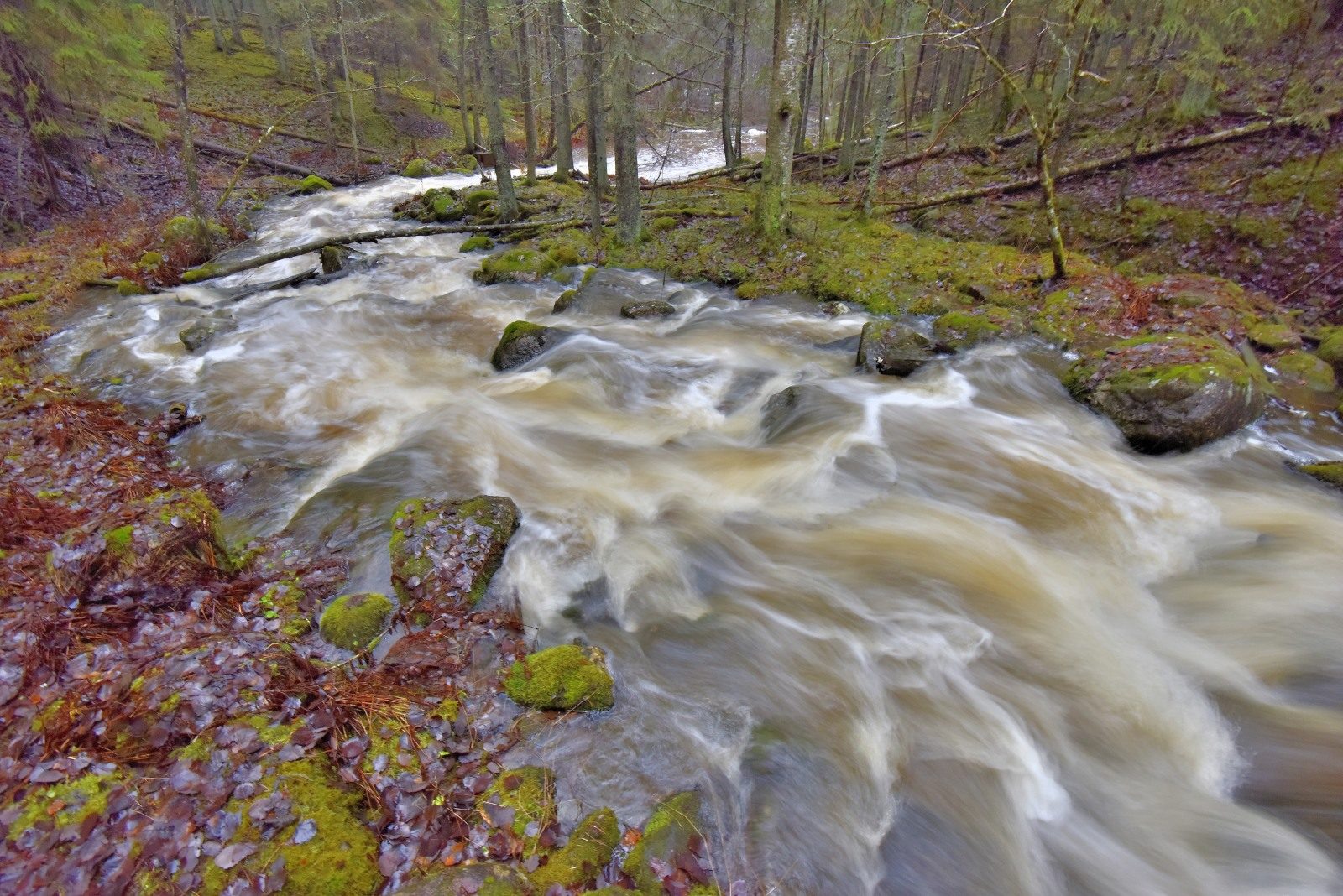 Valokuvaaja: Reijo Juurinen